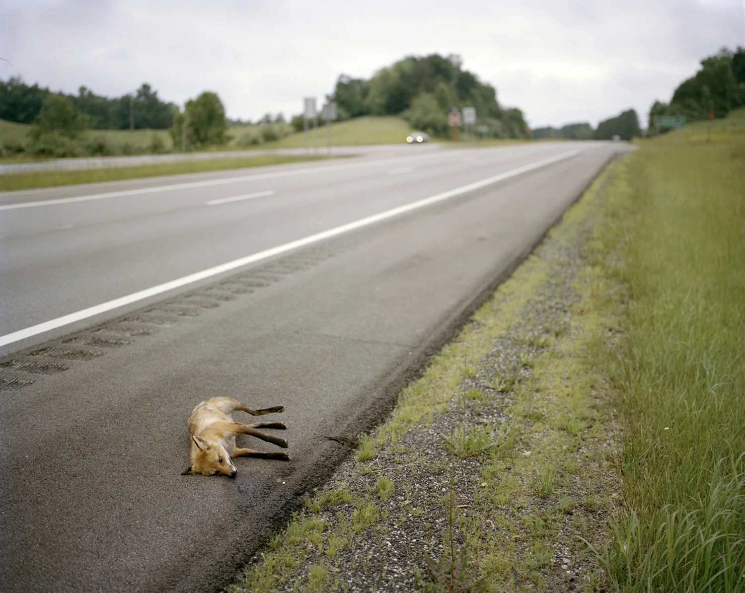 Michael Sherwin . June 10, 2014. Albany, Athens County, Ohio.