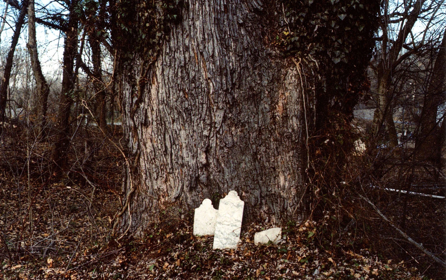 Ashley Hoffman . March 9, 2015. Displaced graves in the old St. Peter's Lutheran Church graveyard, Shepherdstown, Jefferson County, West Virginia.