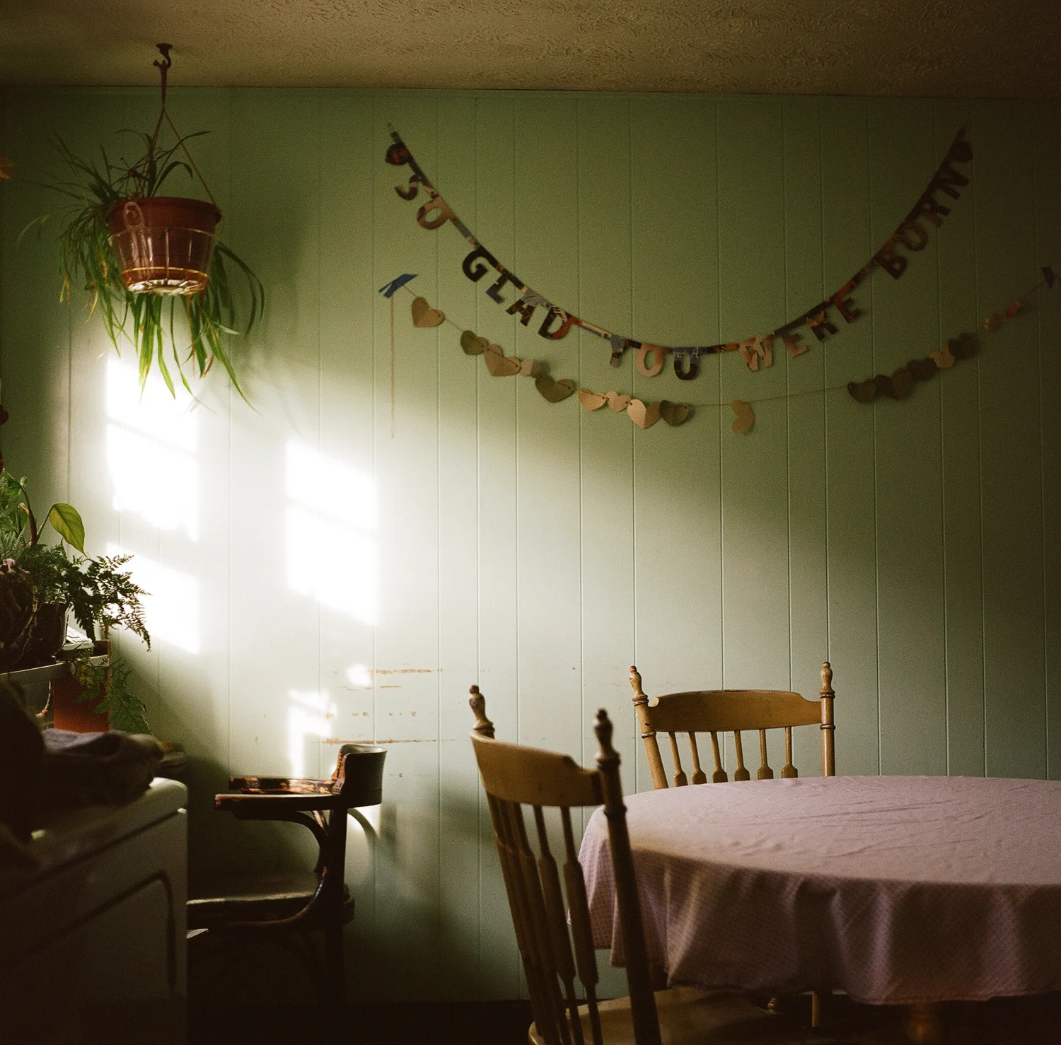 Meg Wilson . October 11, 2015. Berea, Madison County, Kentucky.