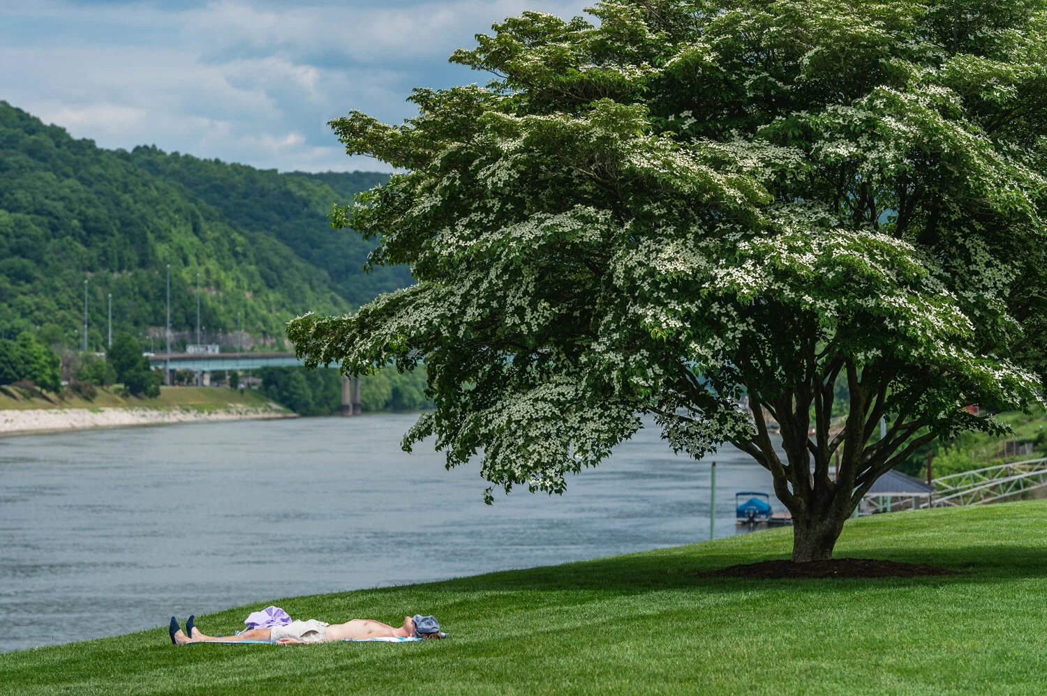   Craig Hudson . May 15, 2019. A man sunbathes on the campus lawn of the University of Charleston, Kanawha County, West Virginia. 