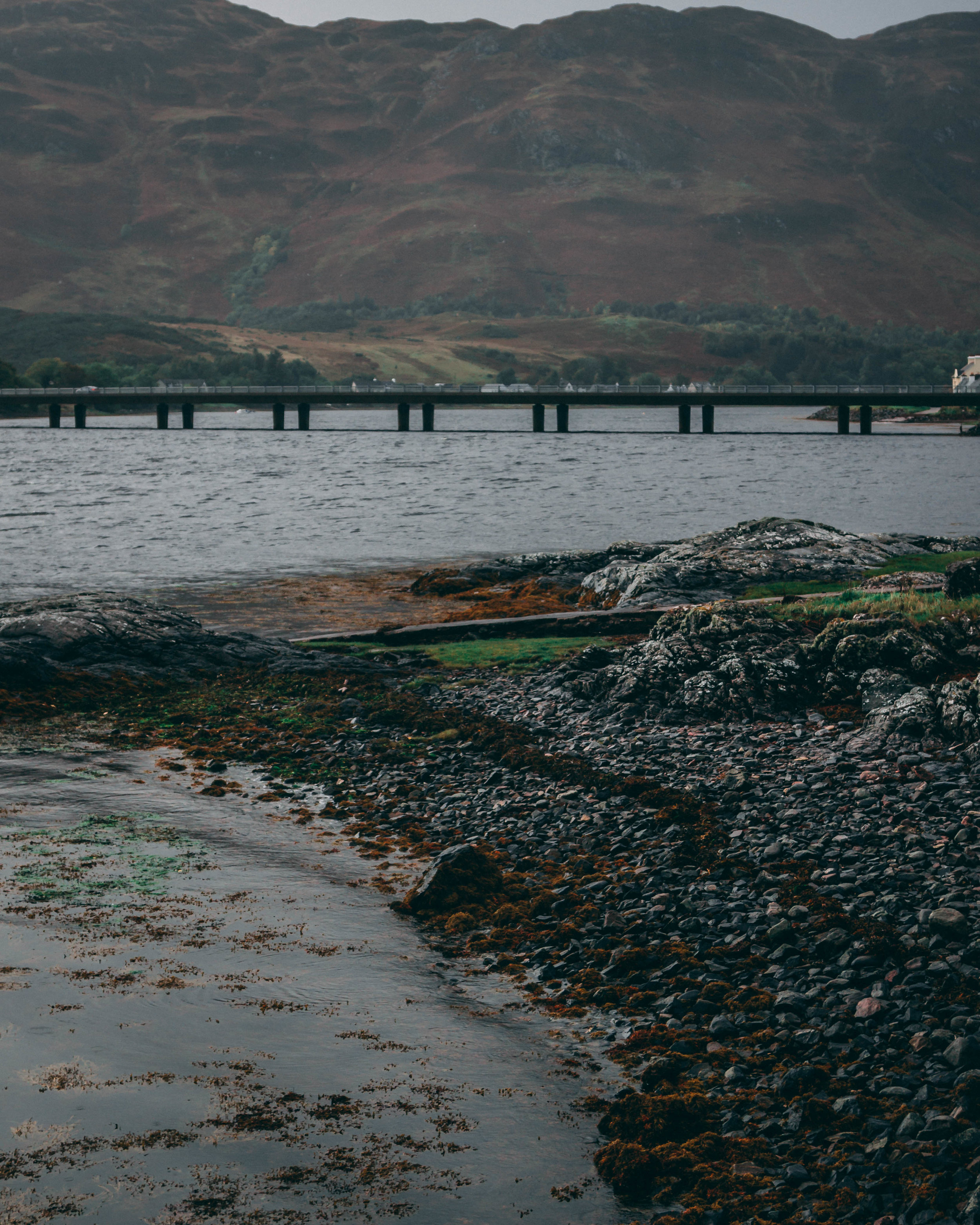 bridge in the distance.jpg