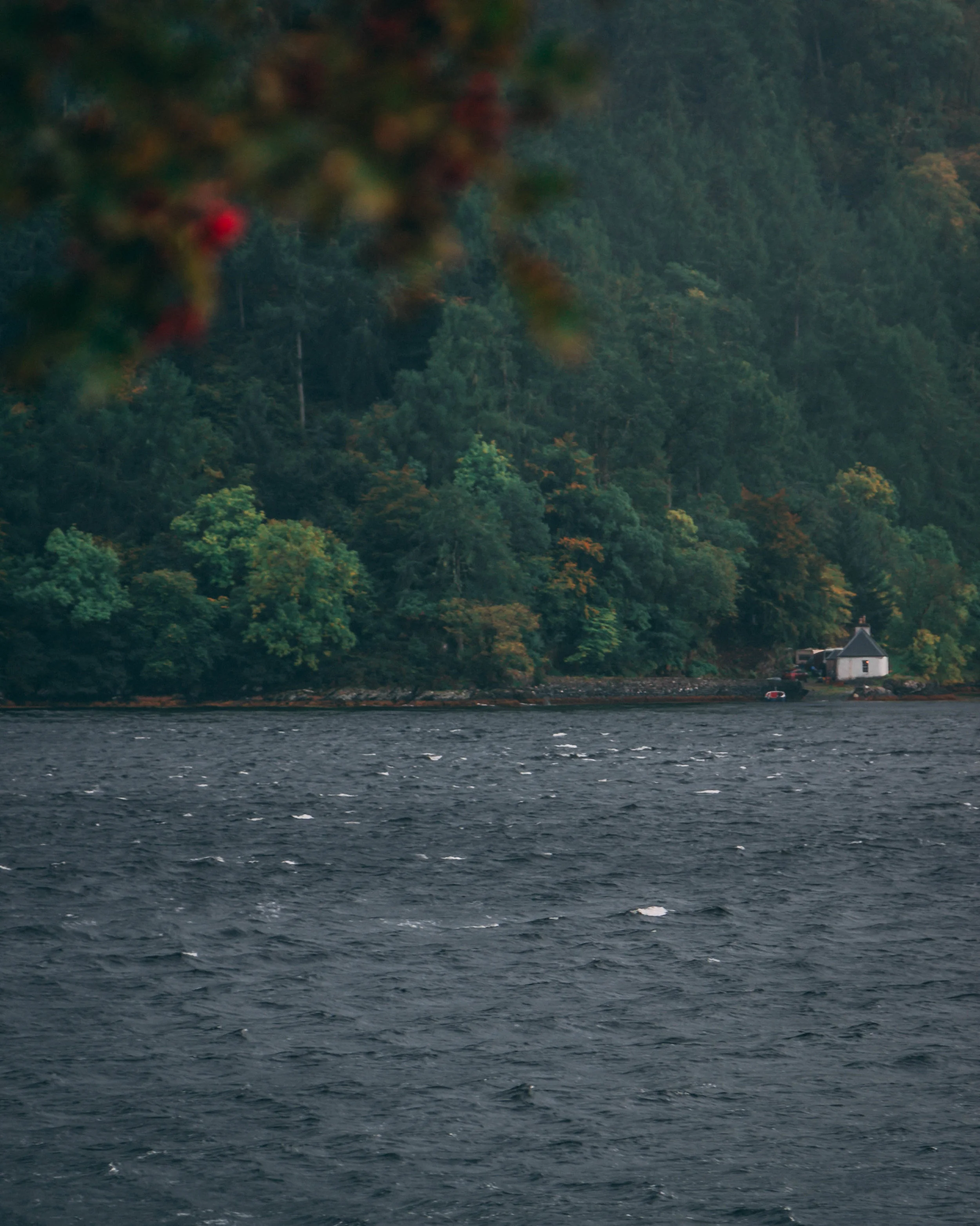 over the water.jpg