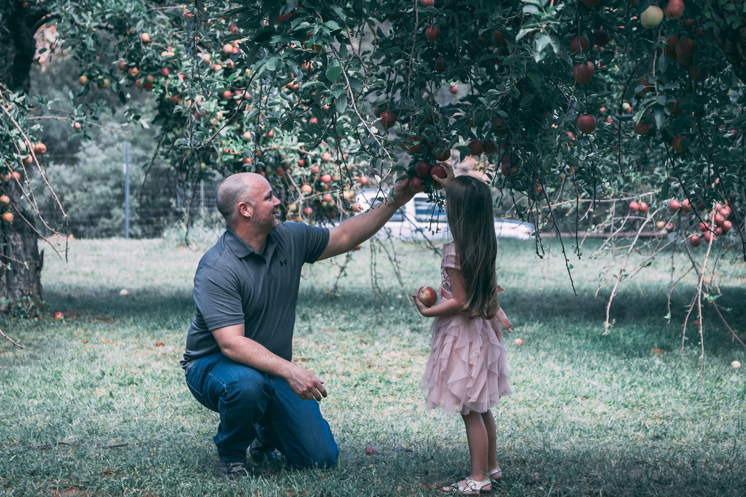 Playful outdoor family portrait of a man swinging a child by the hands, family photography by Everlux Photo Co.