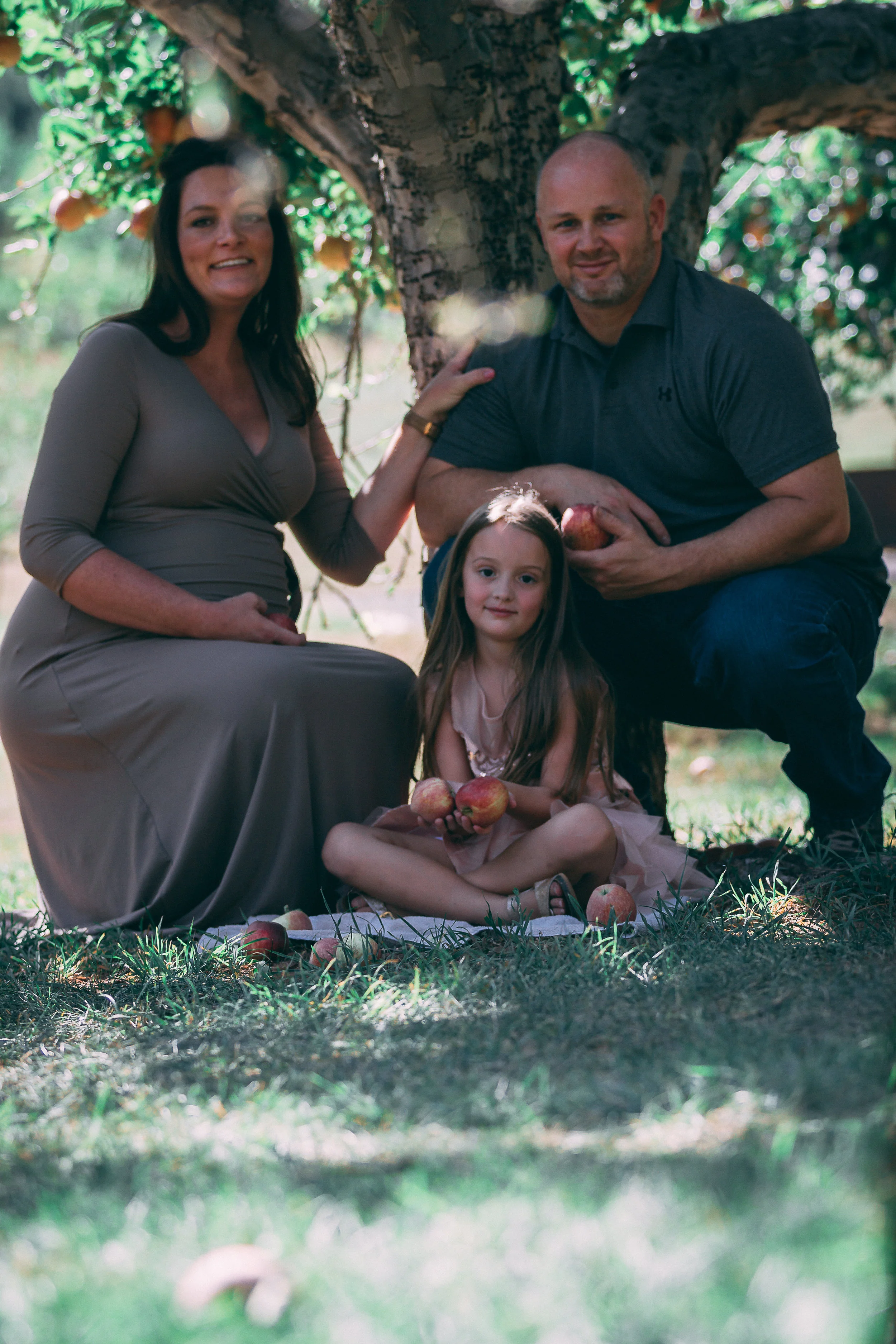 Maternity family portrait under a shaded tree with parents and young daughter, family photography by Everlux Photo Co.