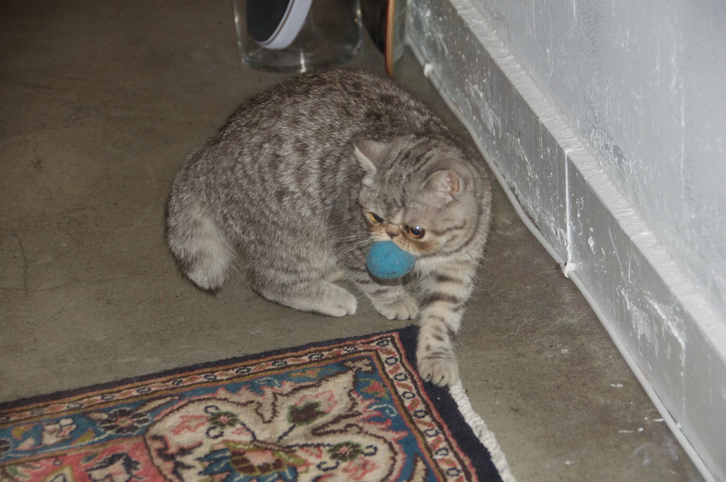 DSC_3014.jpg