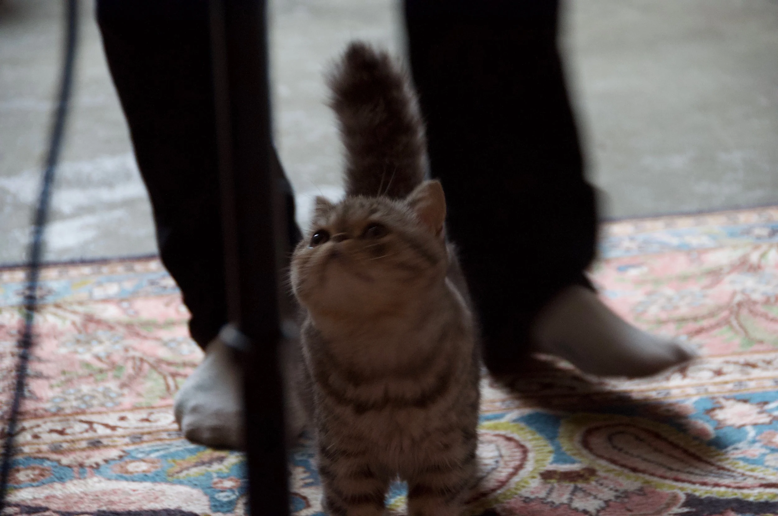 DSC_3549.jpg