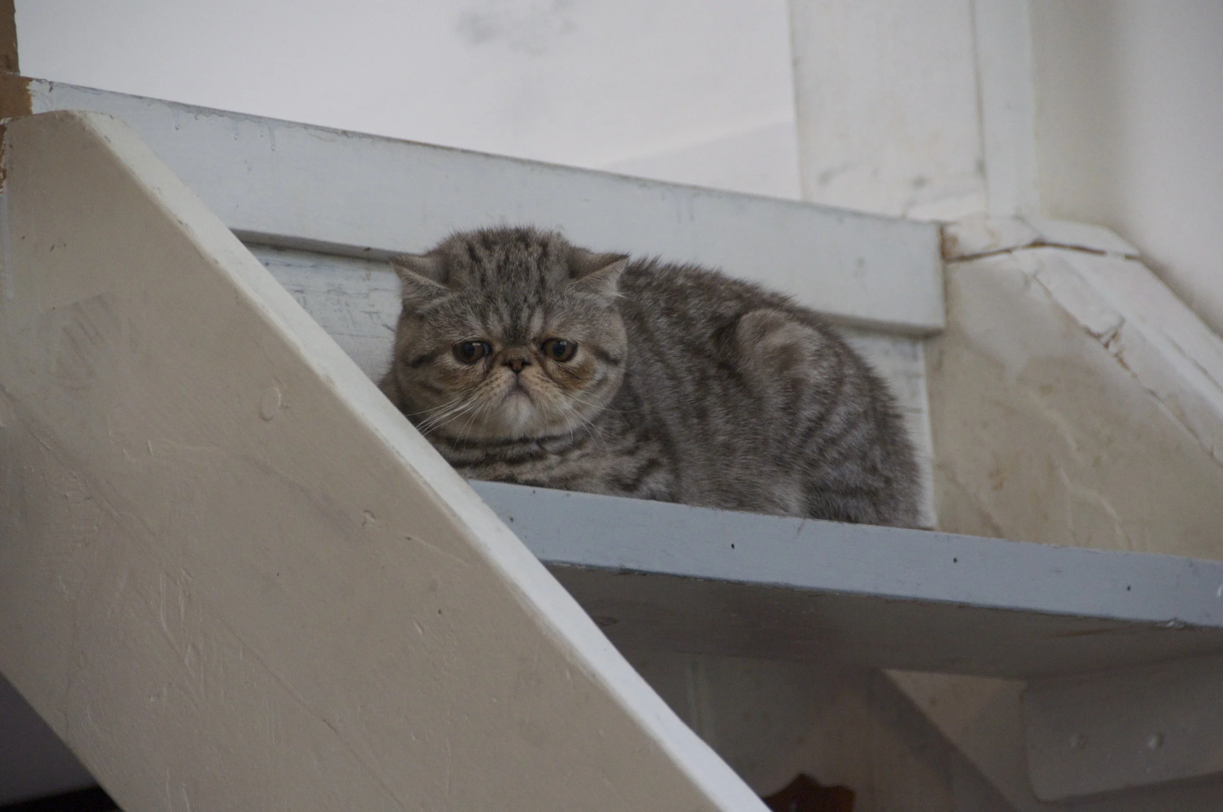 DSC_3830.jpg