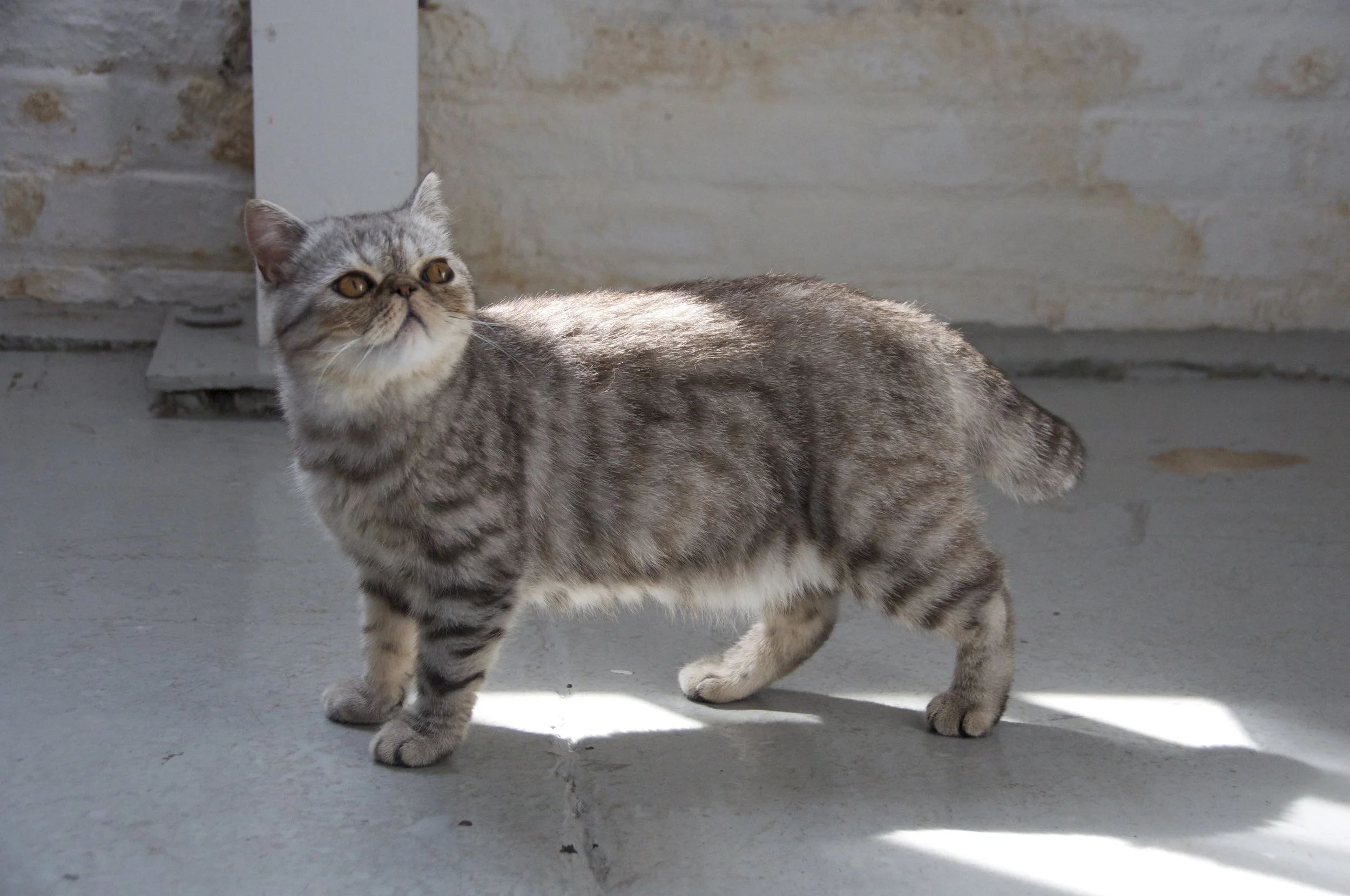 DSC_4566.jpg