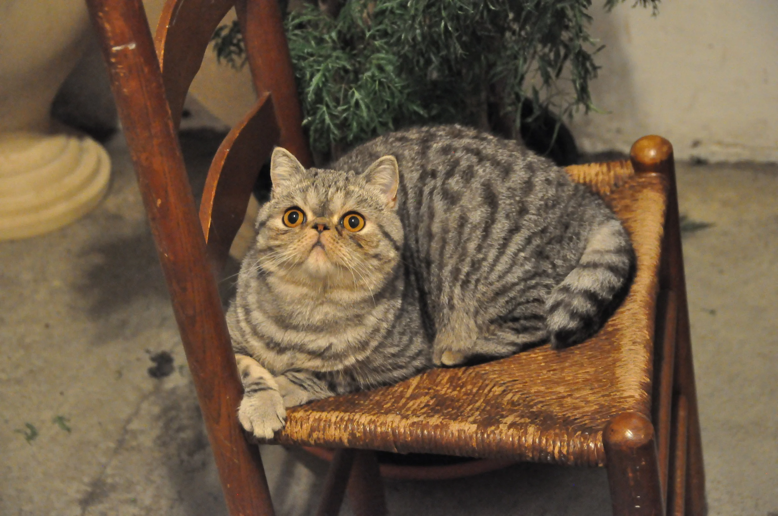 DSC_5770.jpg
