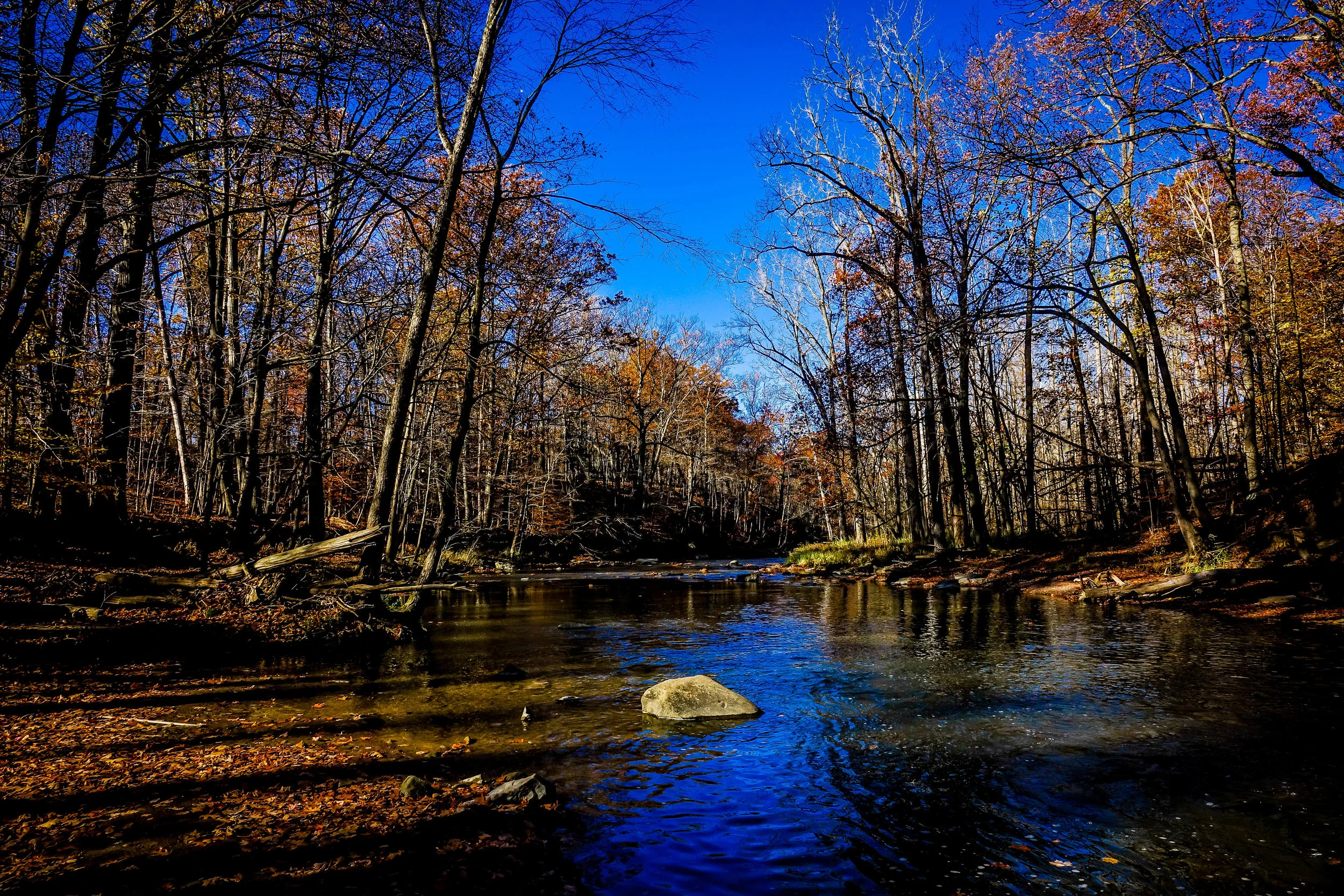 Photoshop-00424.jpg