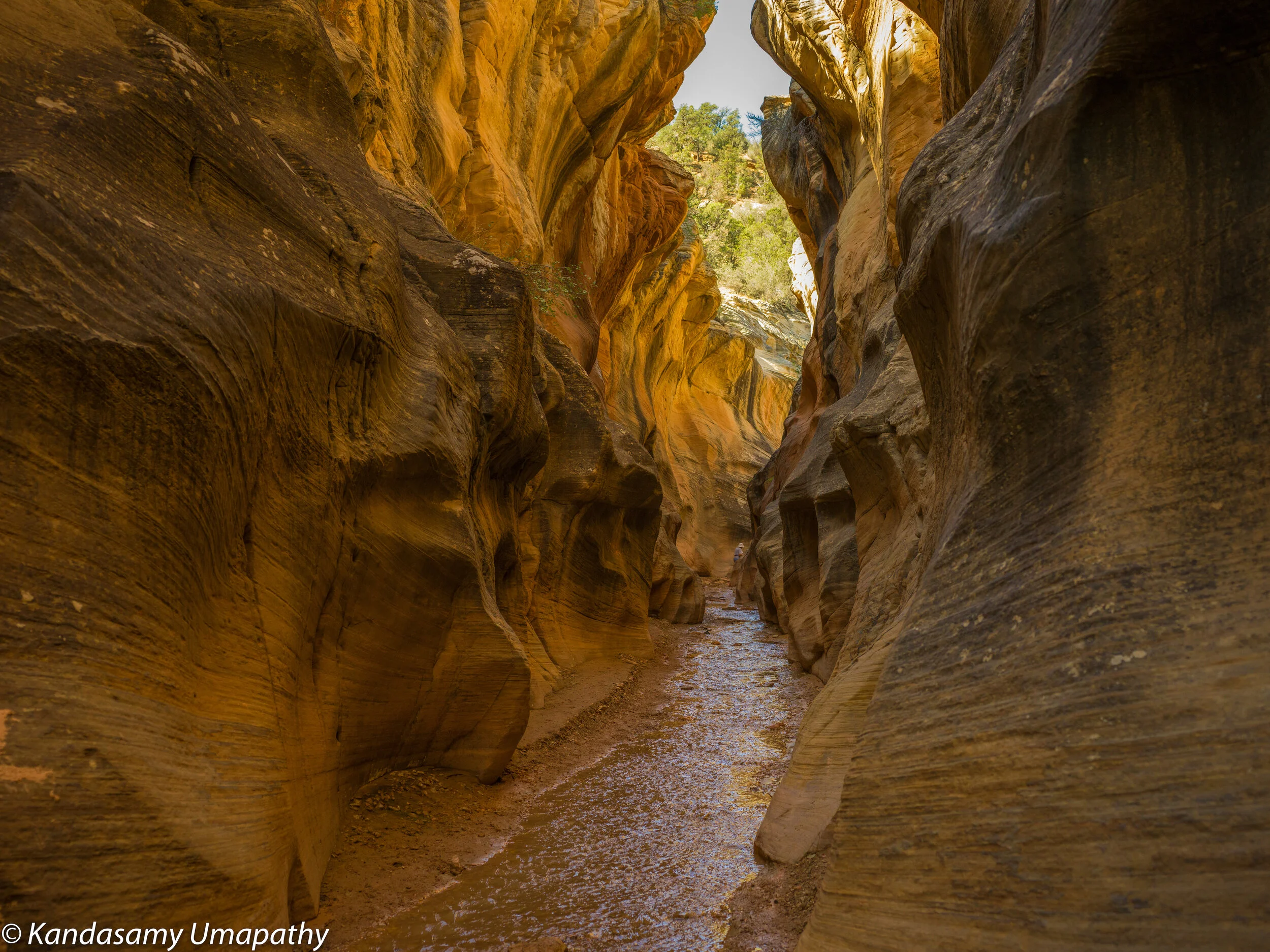 Willie's Trail, Grand Escalente.jpeg