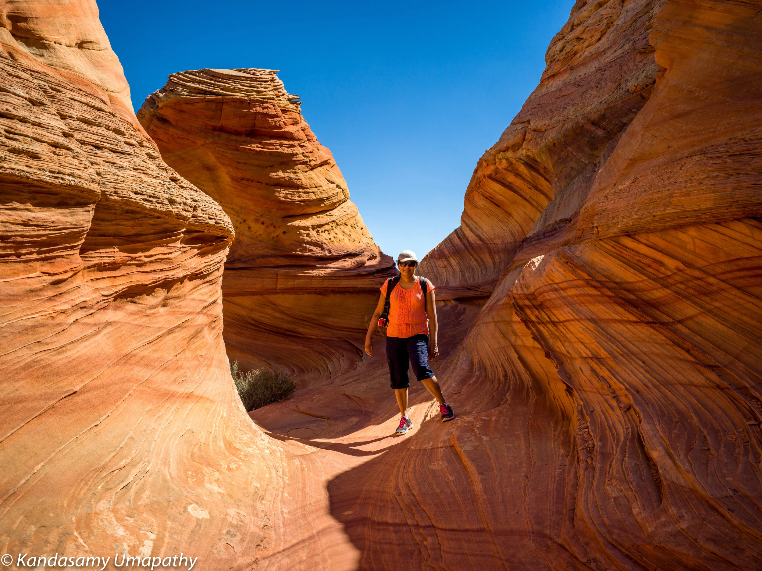 Cayote Butte South.jpeg