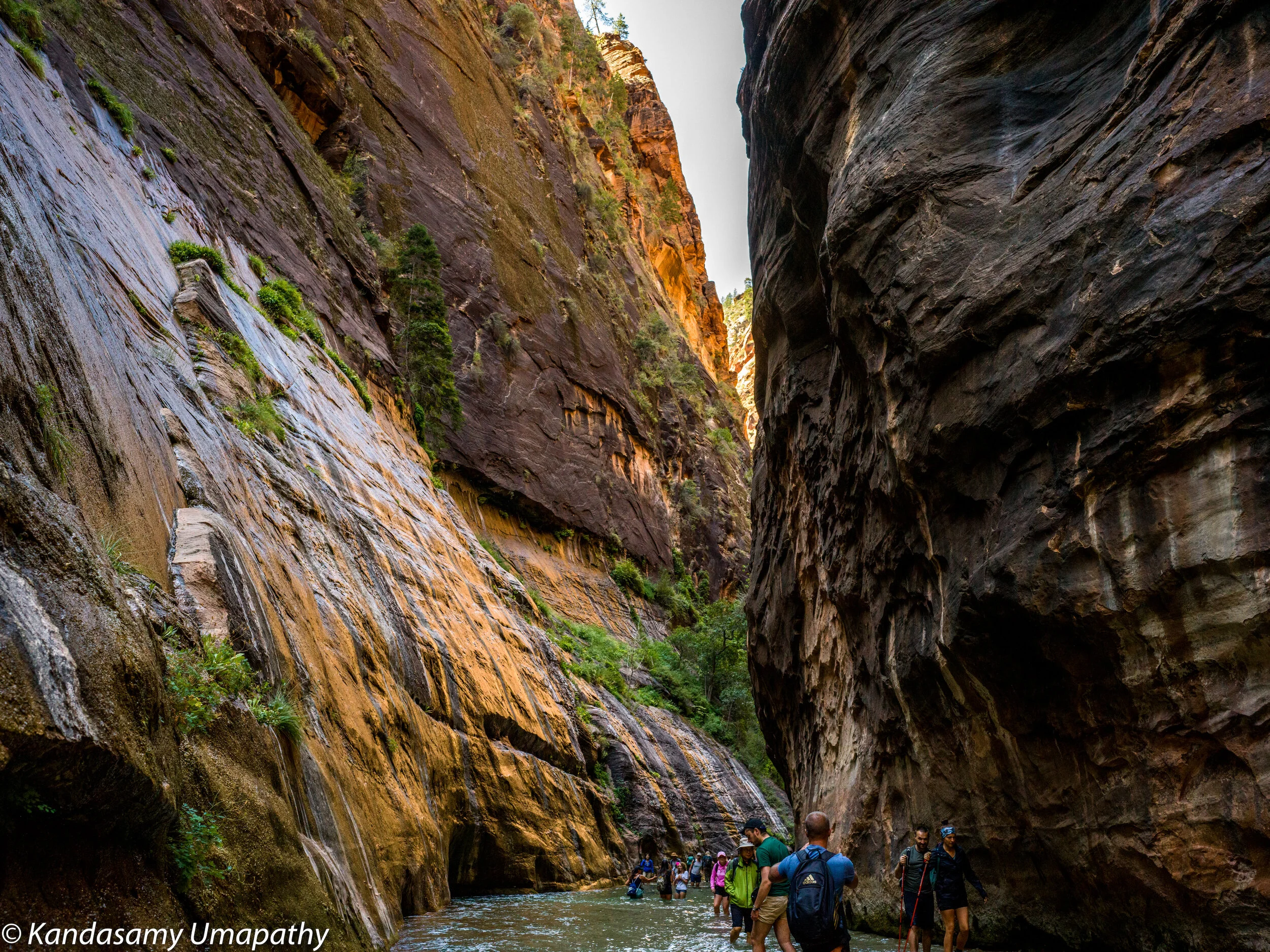Zion narrows 1.jpeg