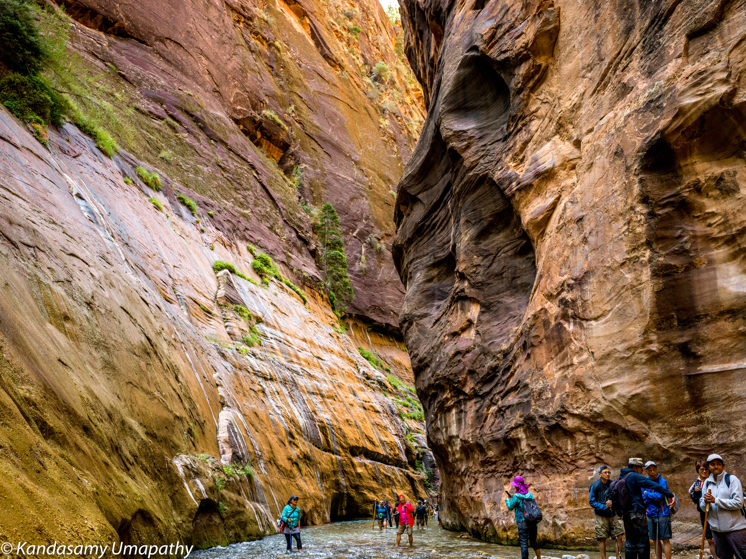 Zion narrows 2.jpeg