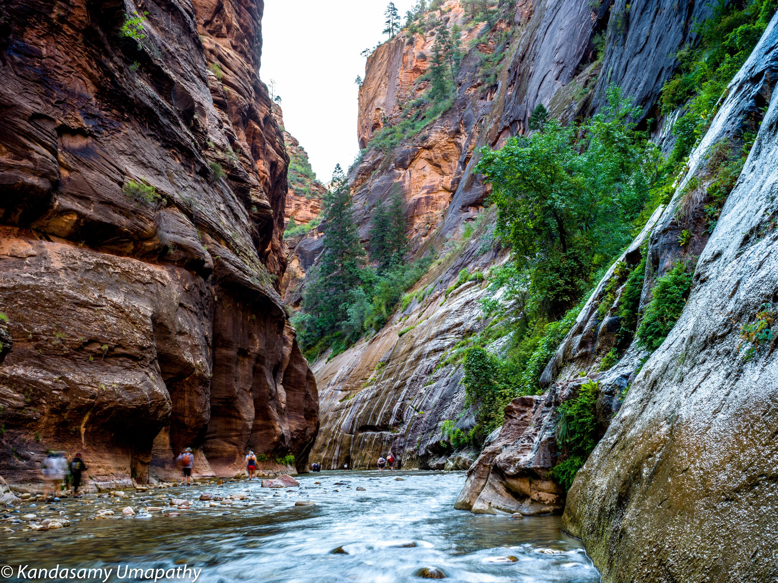 Zion narrows 3.jpeg
