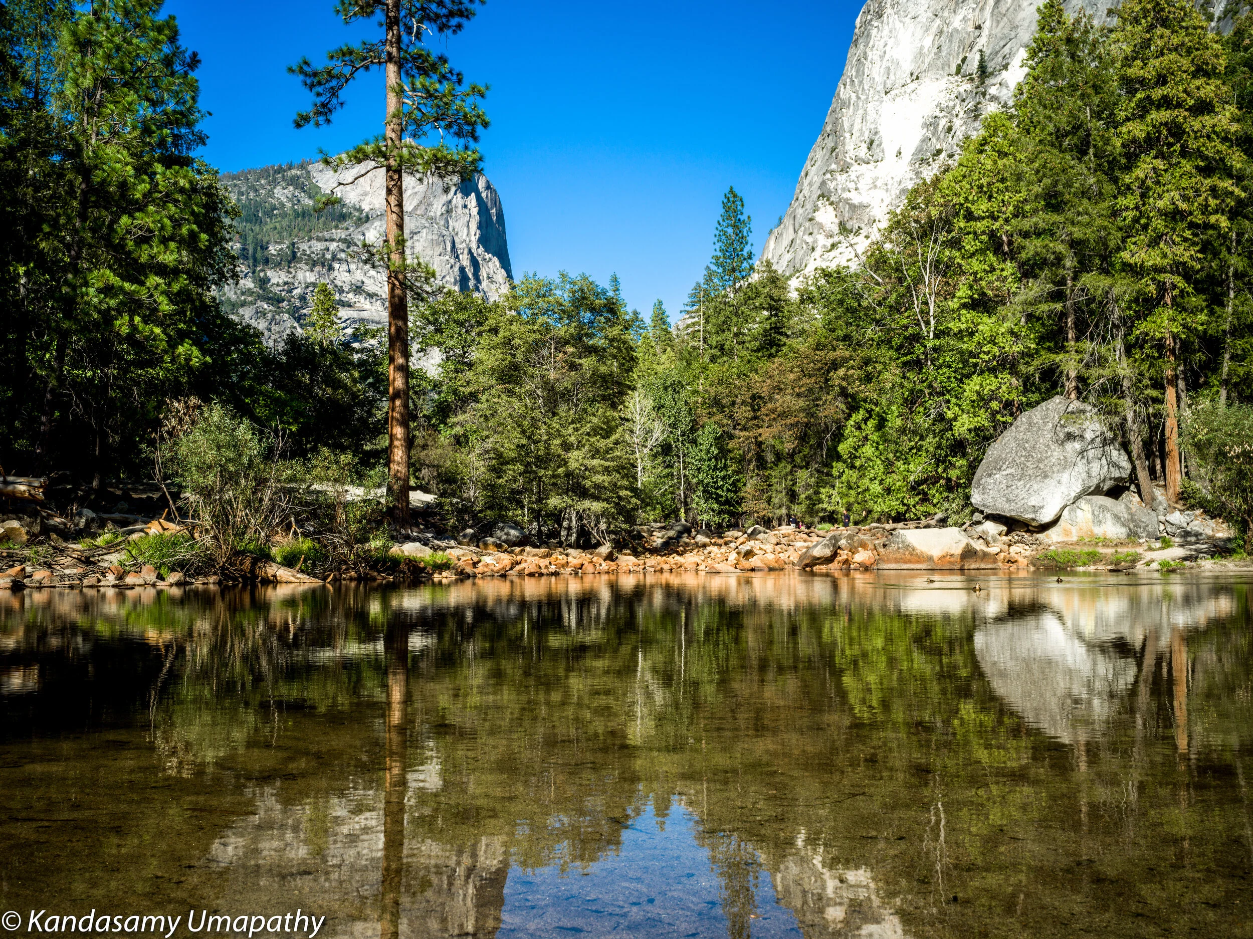 Yosemite 3.jpeg