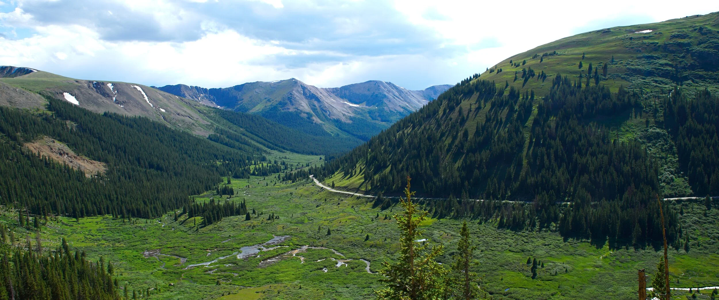 DSC_3735.jpg