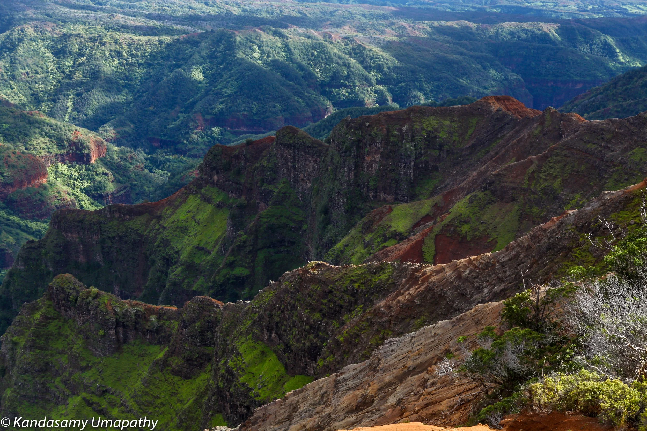 Hawai-34473.jpg