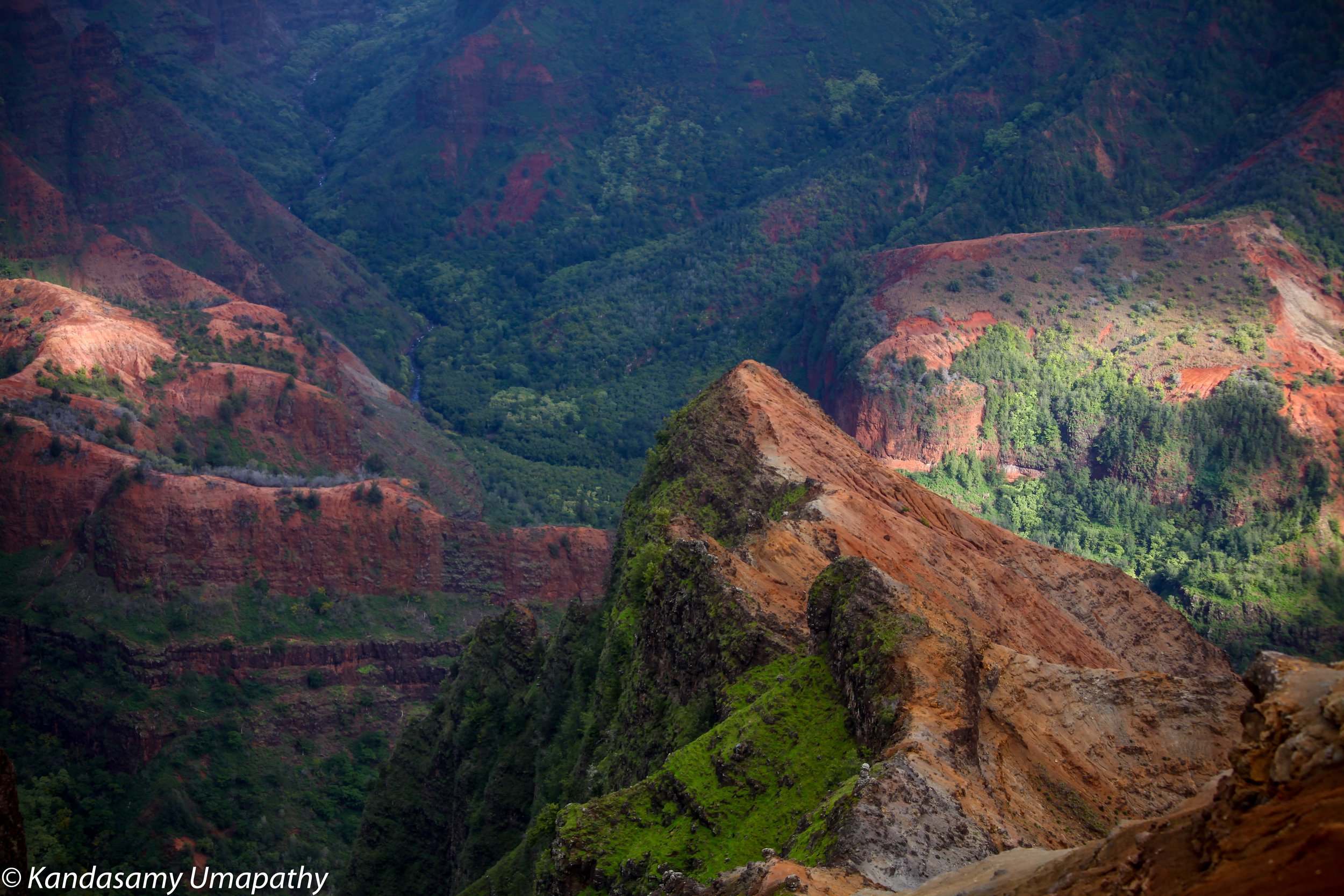 Hawai-34153.jpg