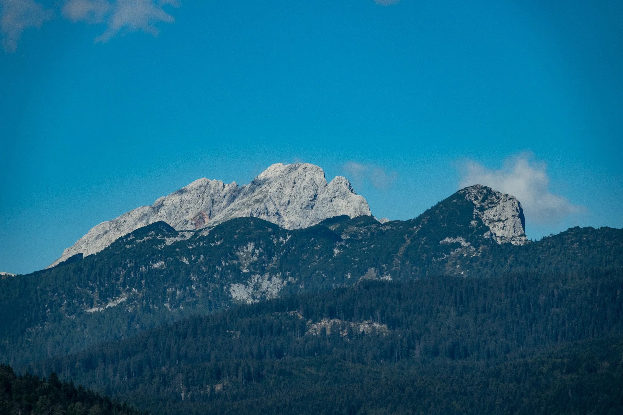 DSC08134-2.jpg