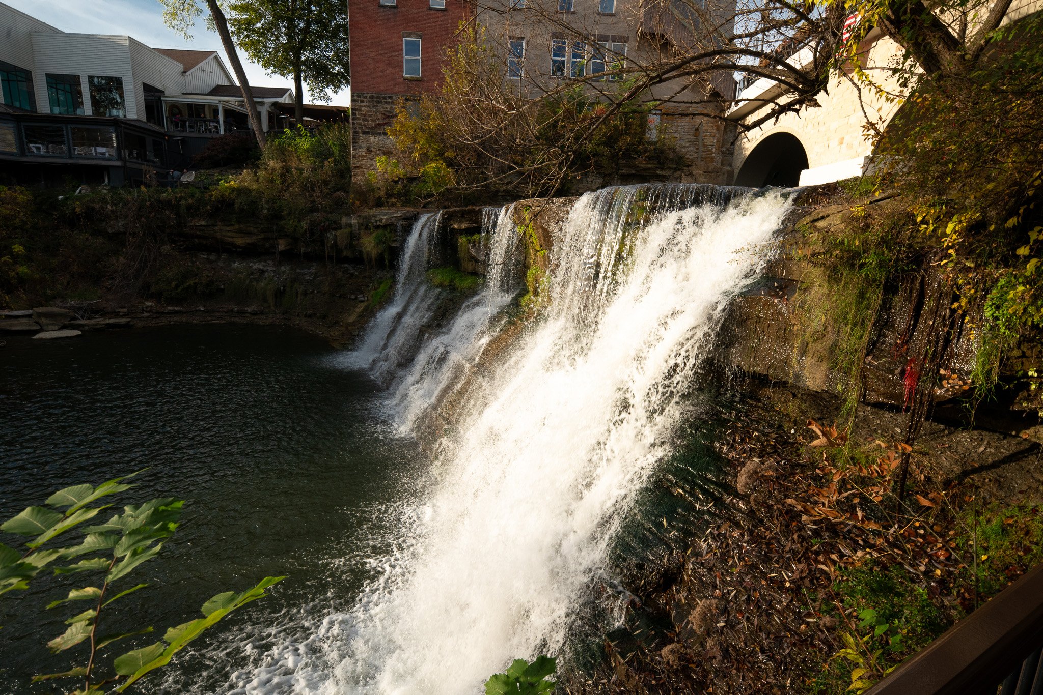 DSC07038-3.jpg