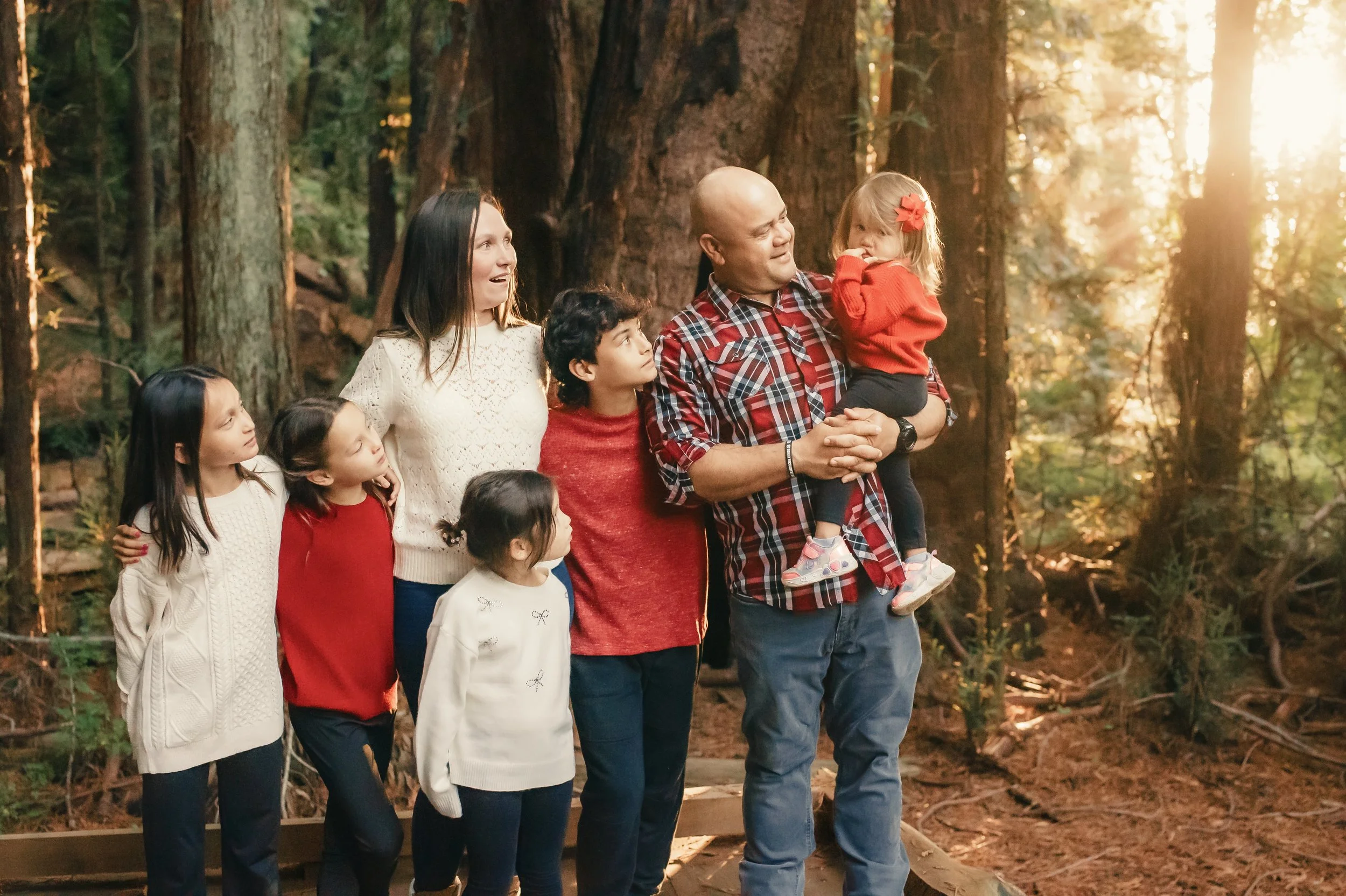 redwood-forest-family-portraits.jpg