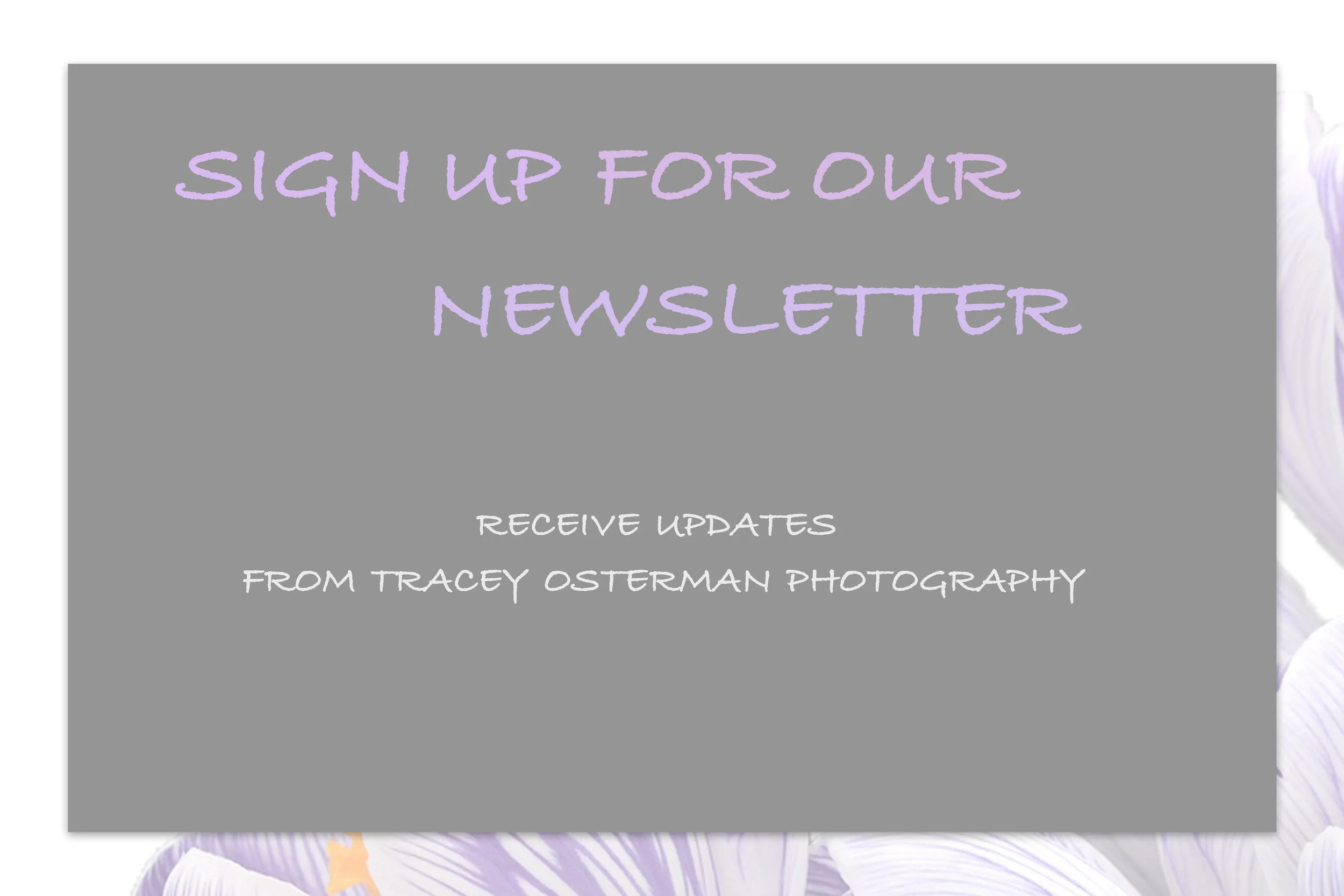 newsletter.jpg