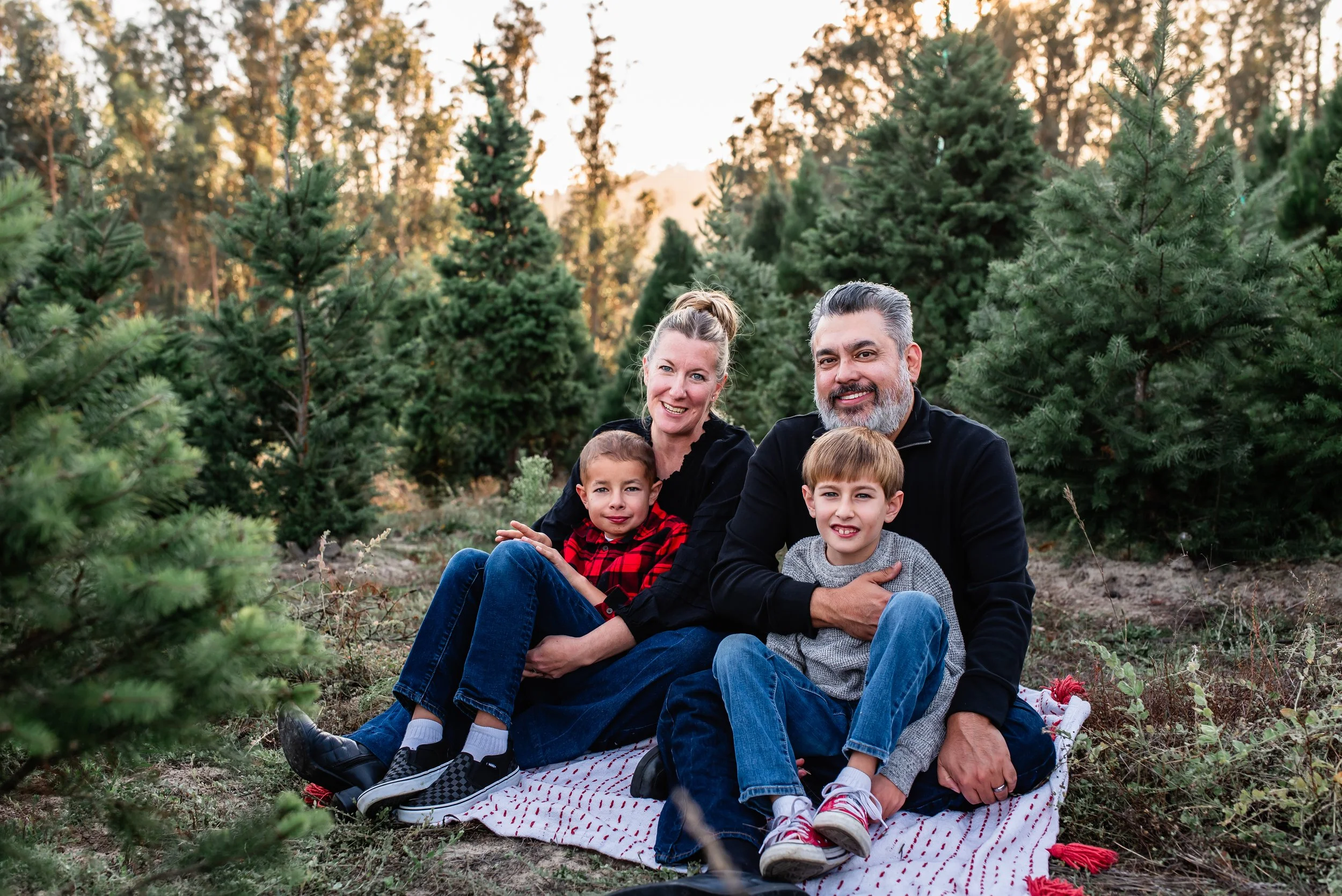 Sebastopol-Christmas-tree-farm-family-photos.jpeg