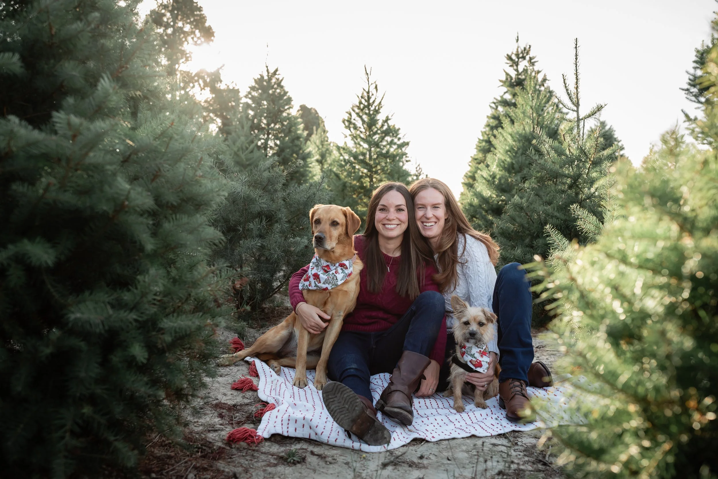 sonoma-tree-farm-photo