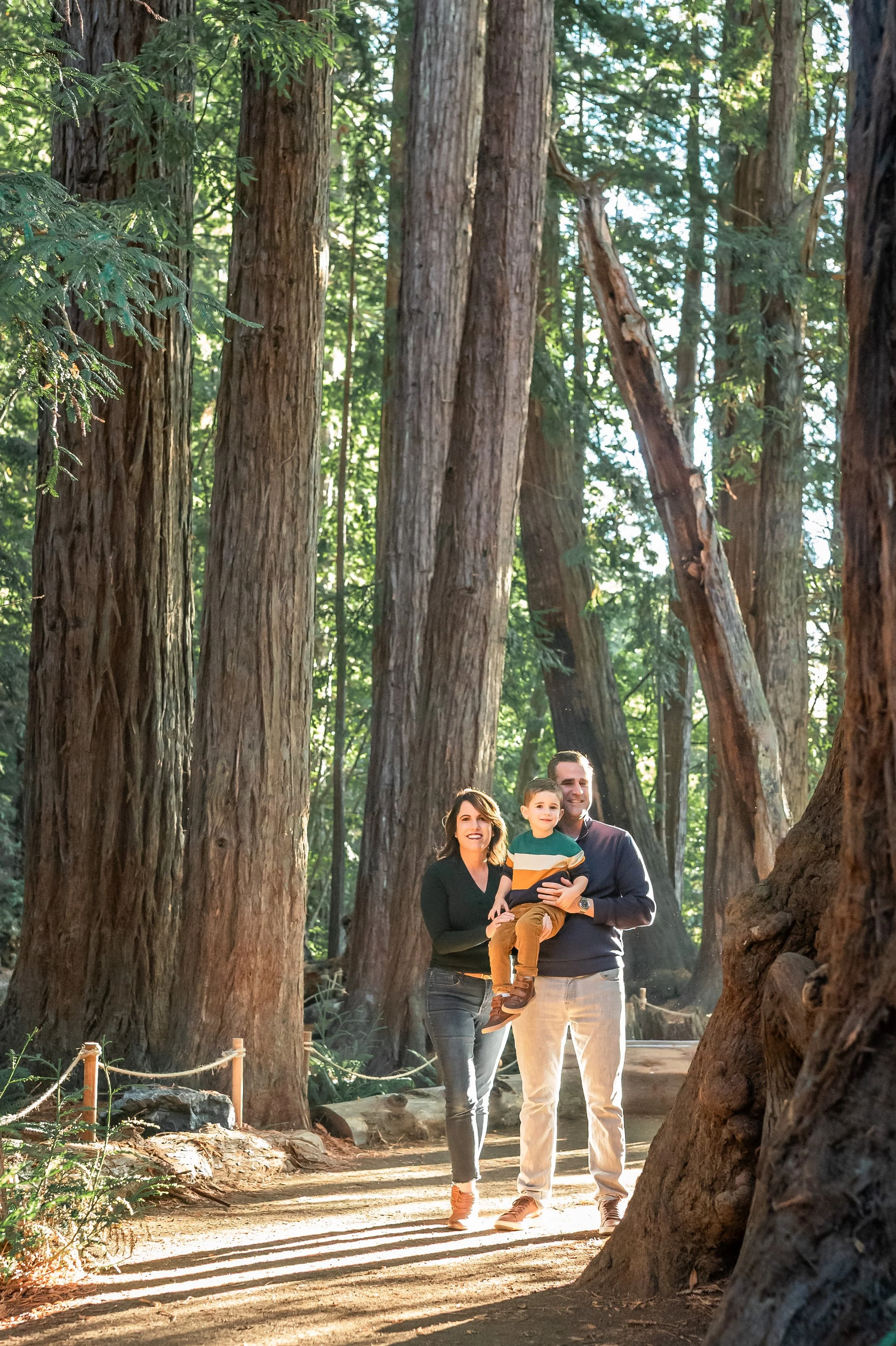 family-session-roys-redwoods-marin-california.jpg
