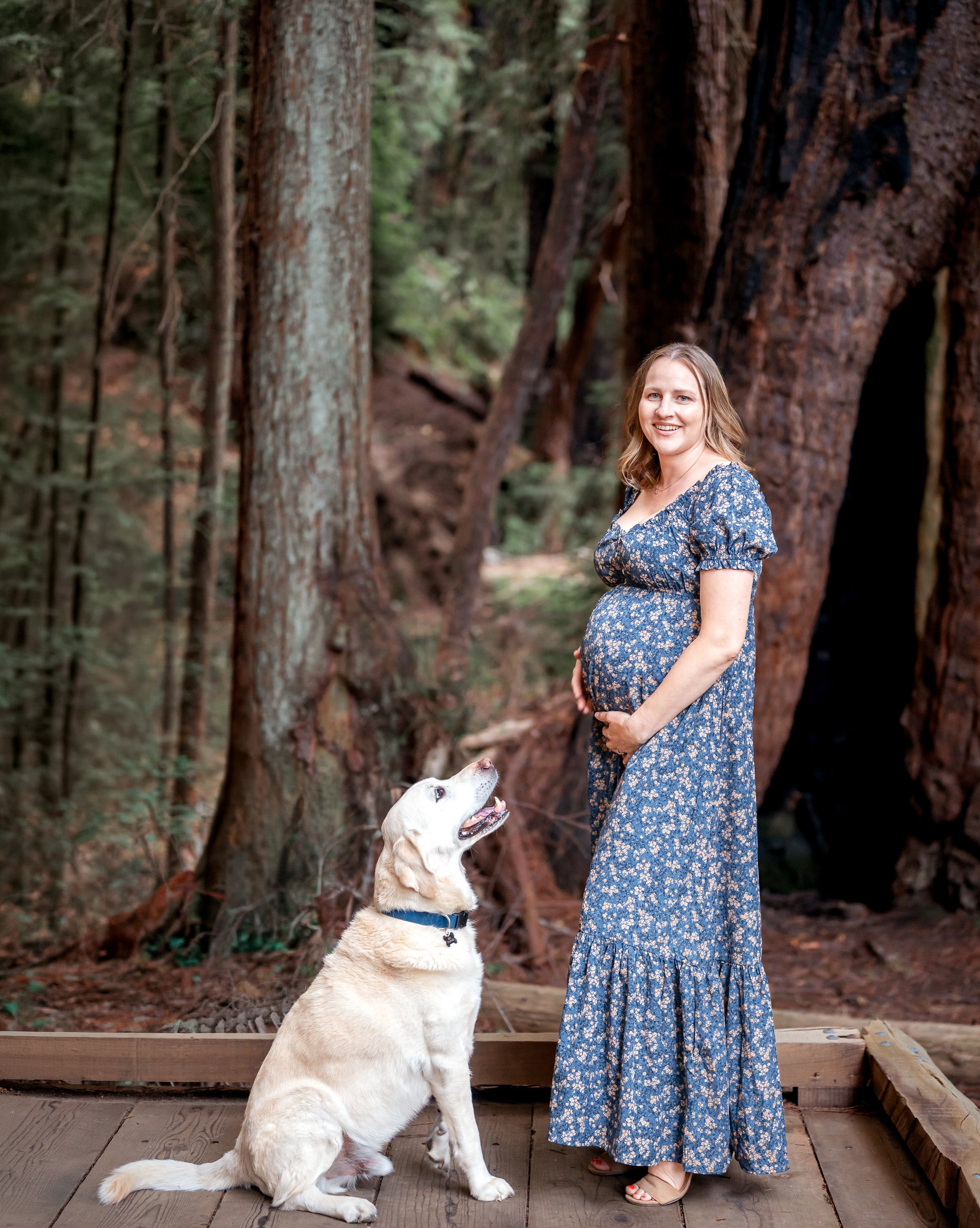 Marin County maternity photo with dog resting on pregnant belly