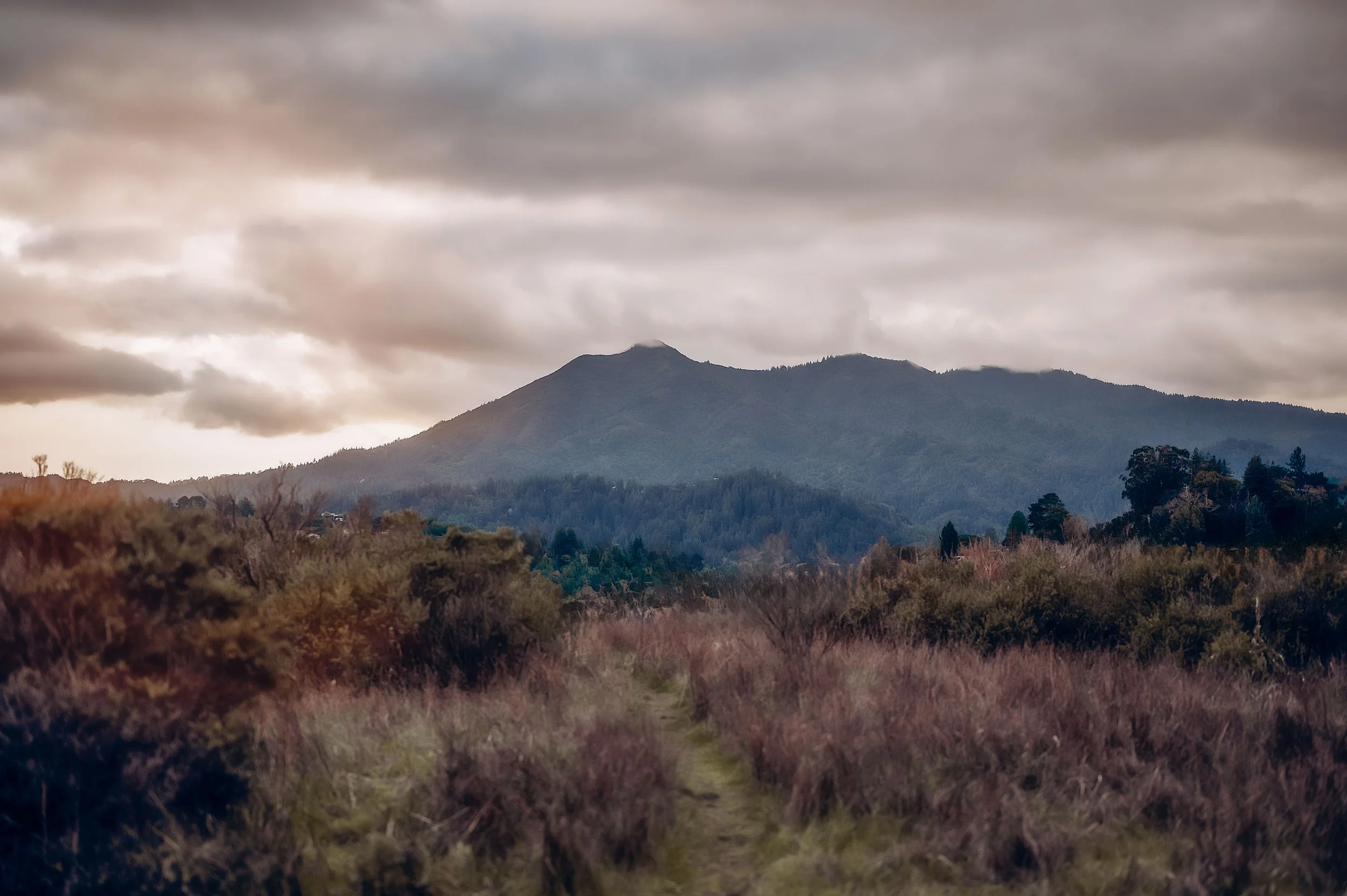 Mountain landscape with cloudy sky and a dirt path through shrubs and trees.