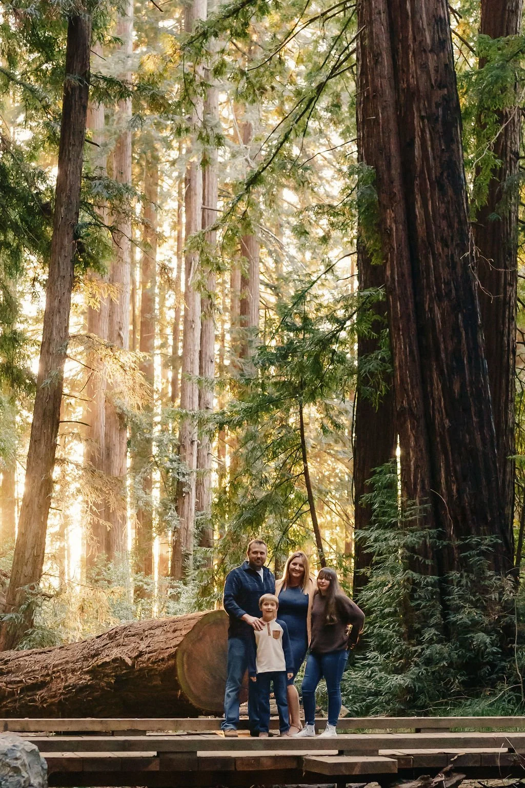 marin-family-photographer-roys-redwoods.jpg