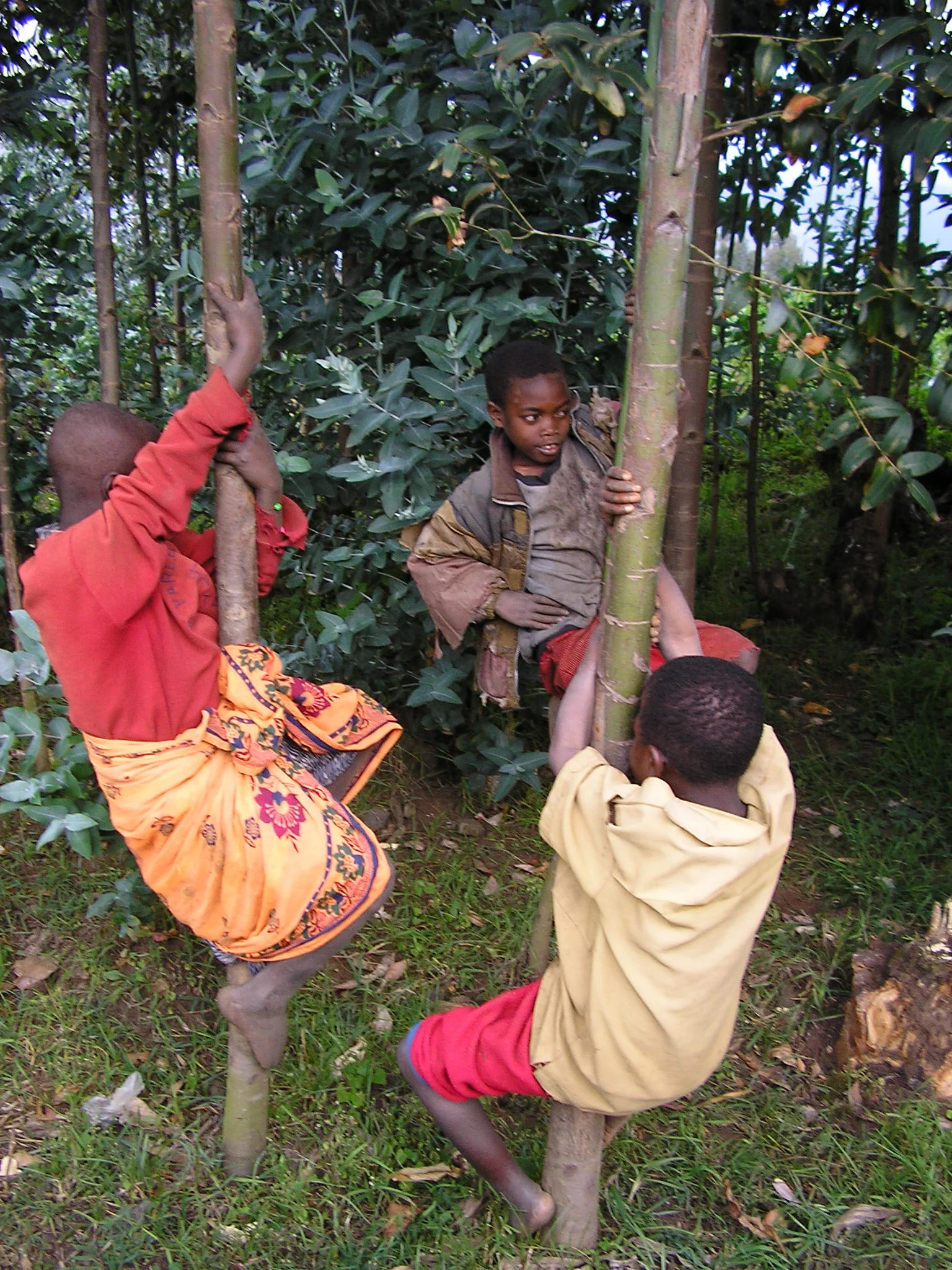 UmuhozaP1010293.jpg
