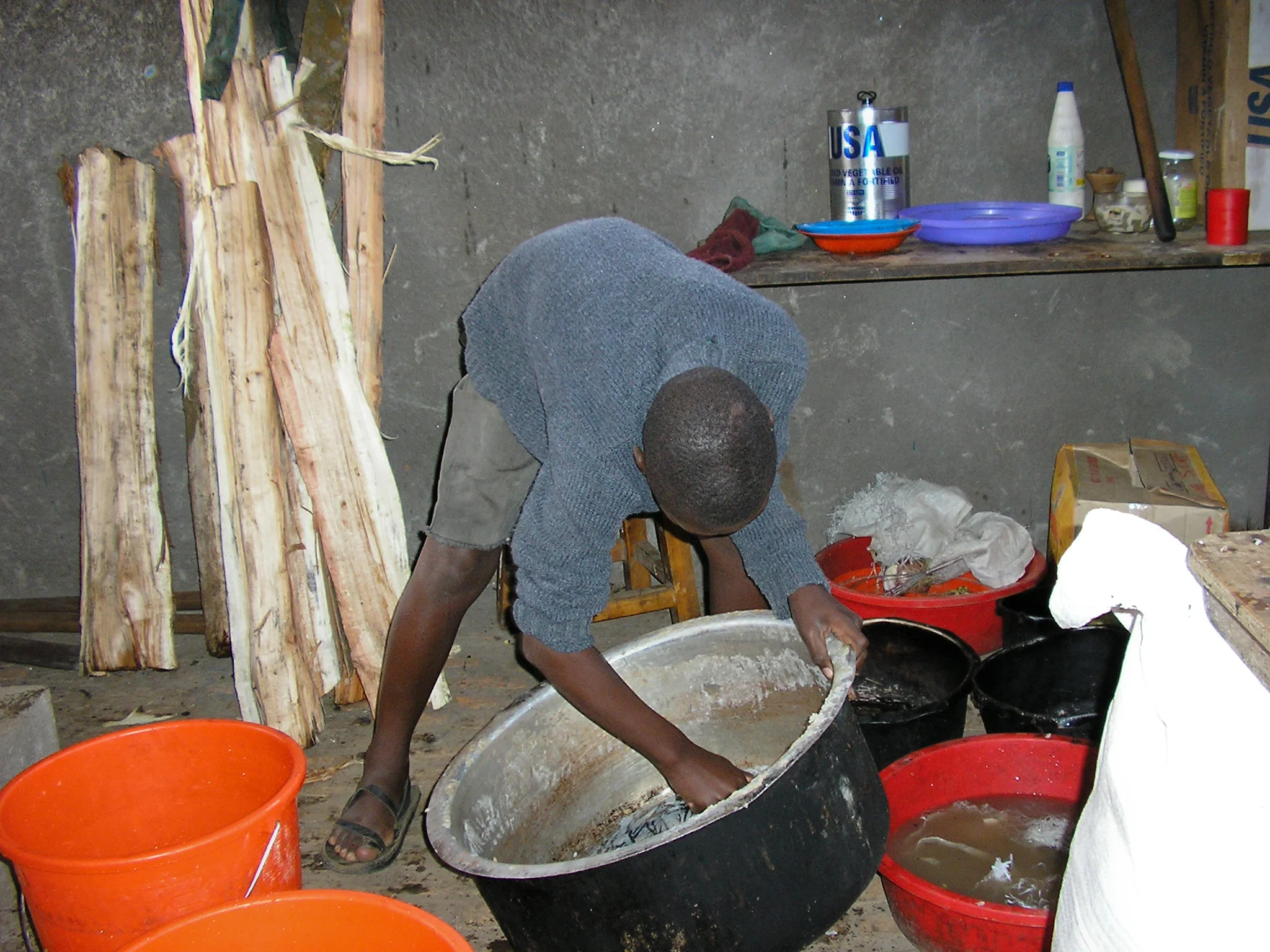 Musa_2005_4.jpg