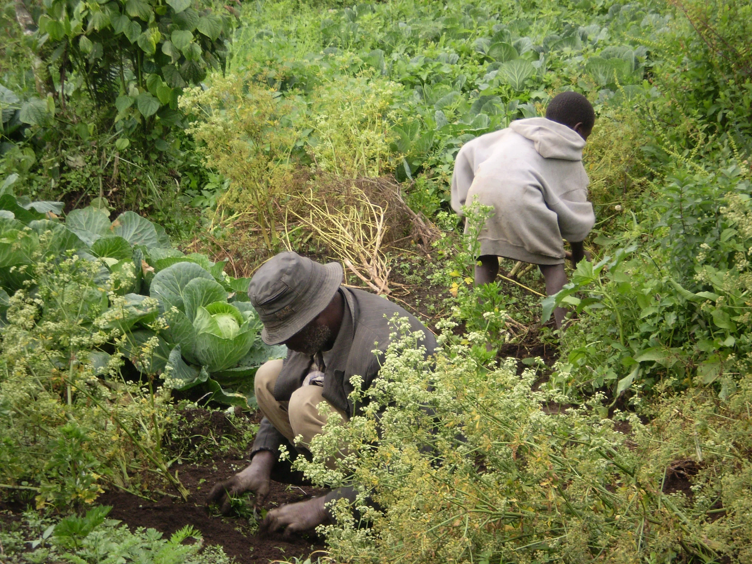 Devota_2007_22.jpg