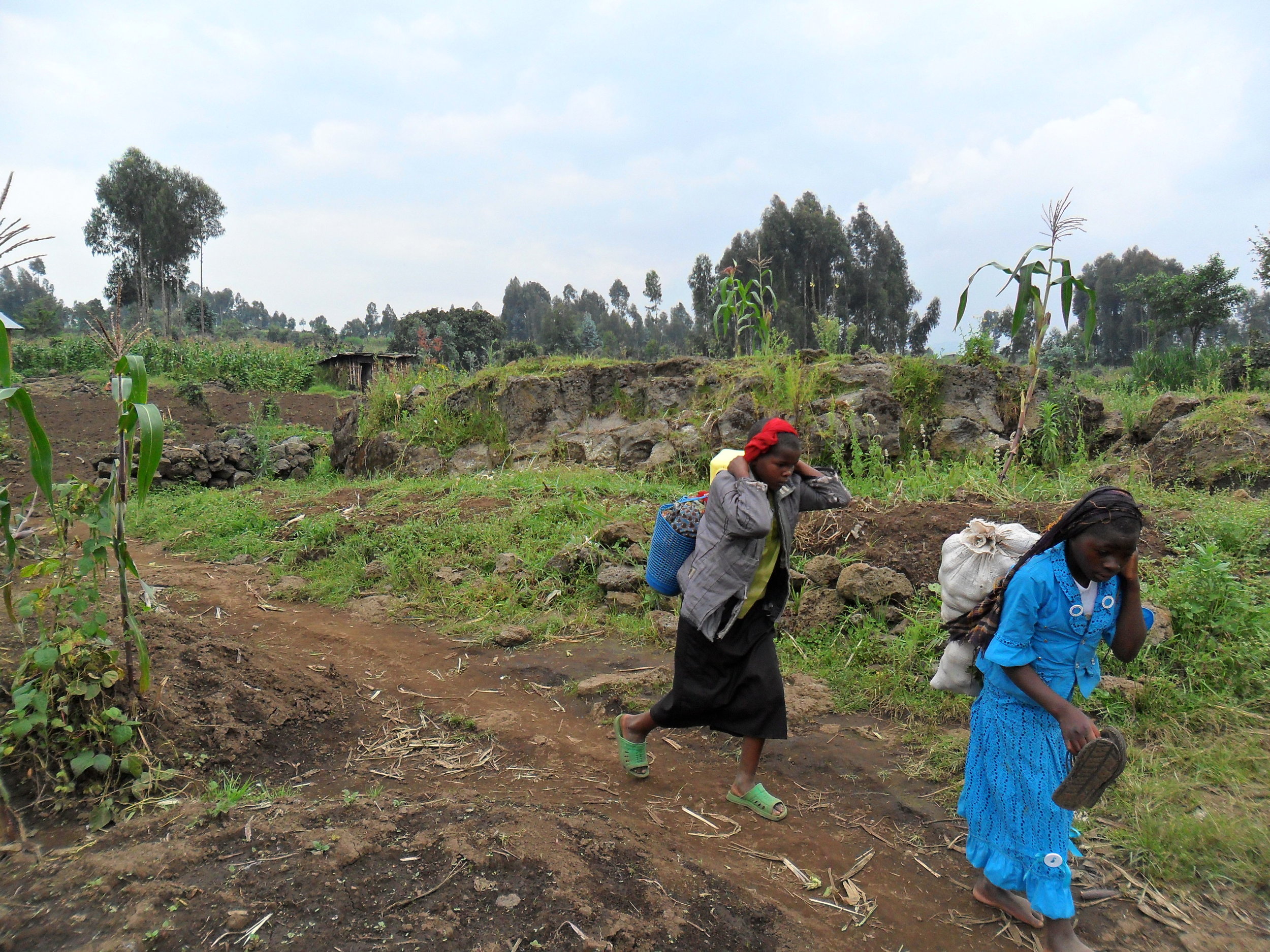bingwa_11_SAM_0444.JPG