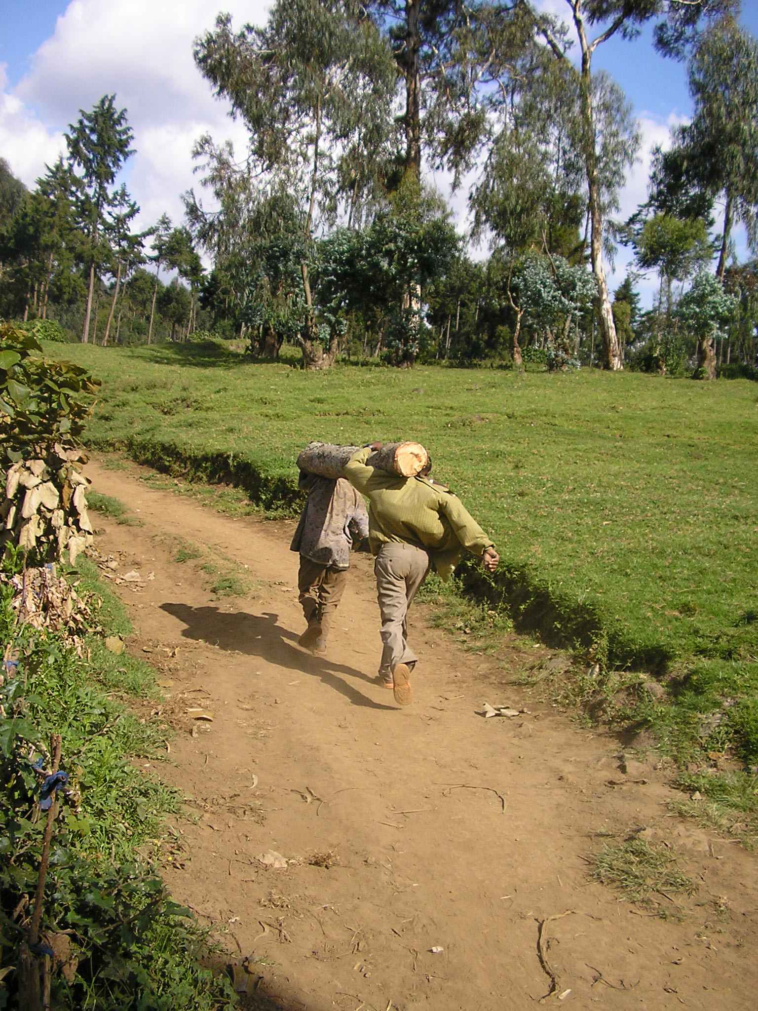 102bingwa2005.jpg