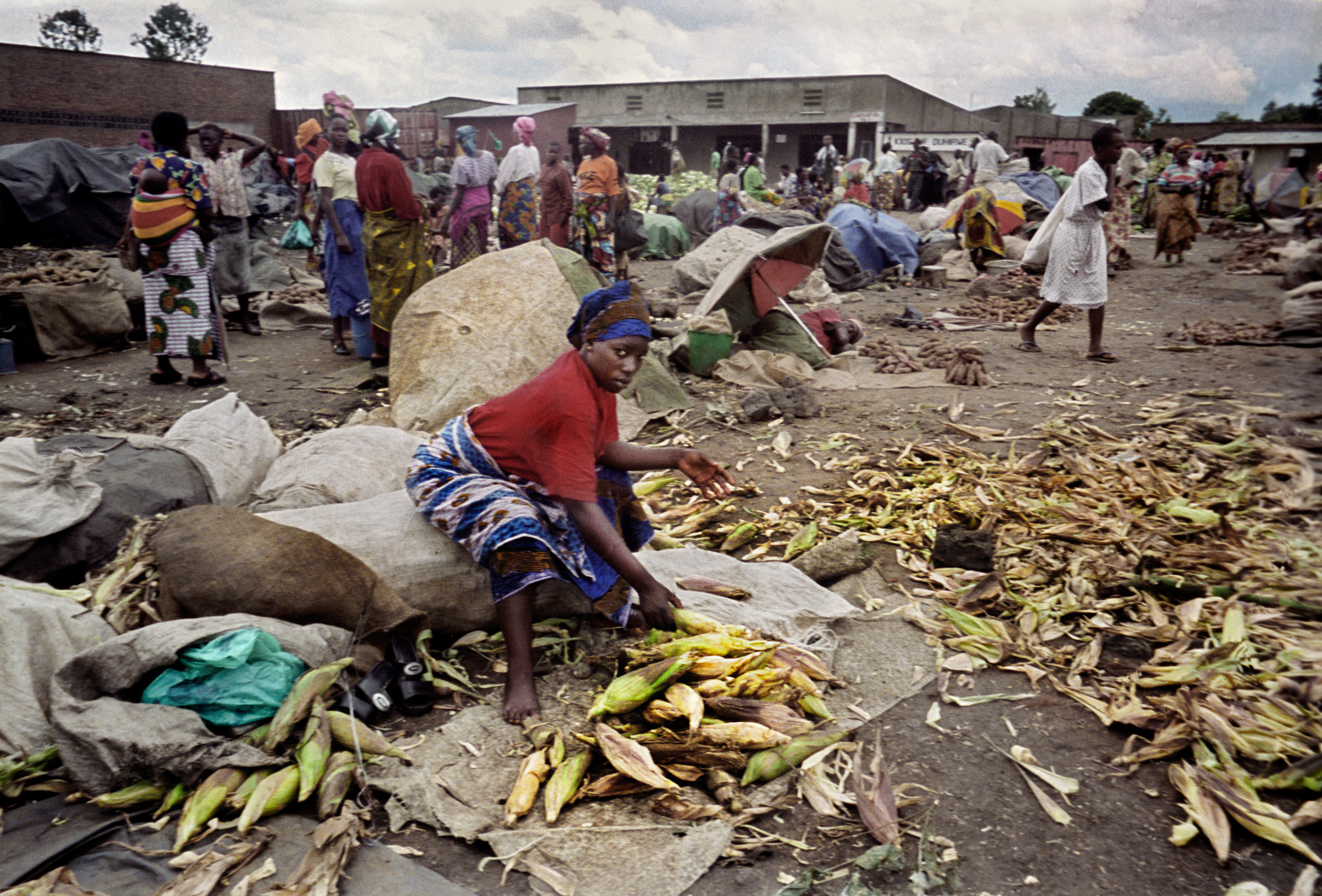 Corn by Ingabire MASTER_3.jpg