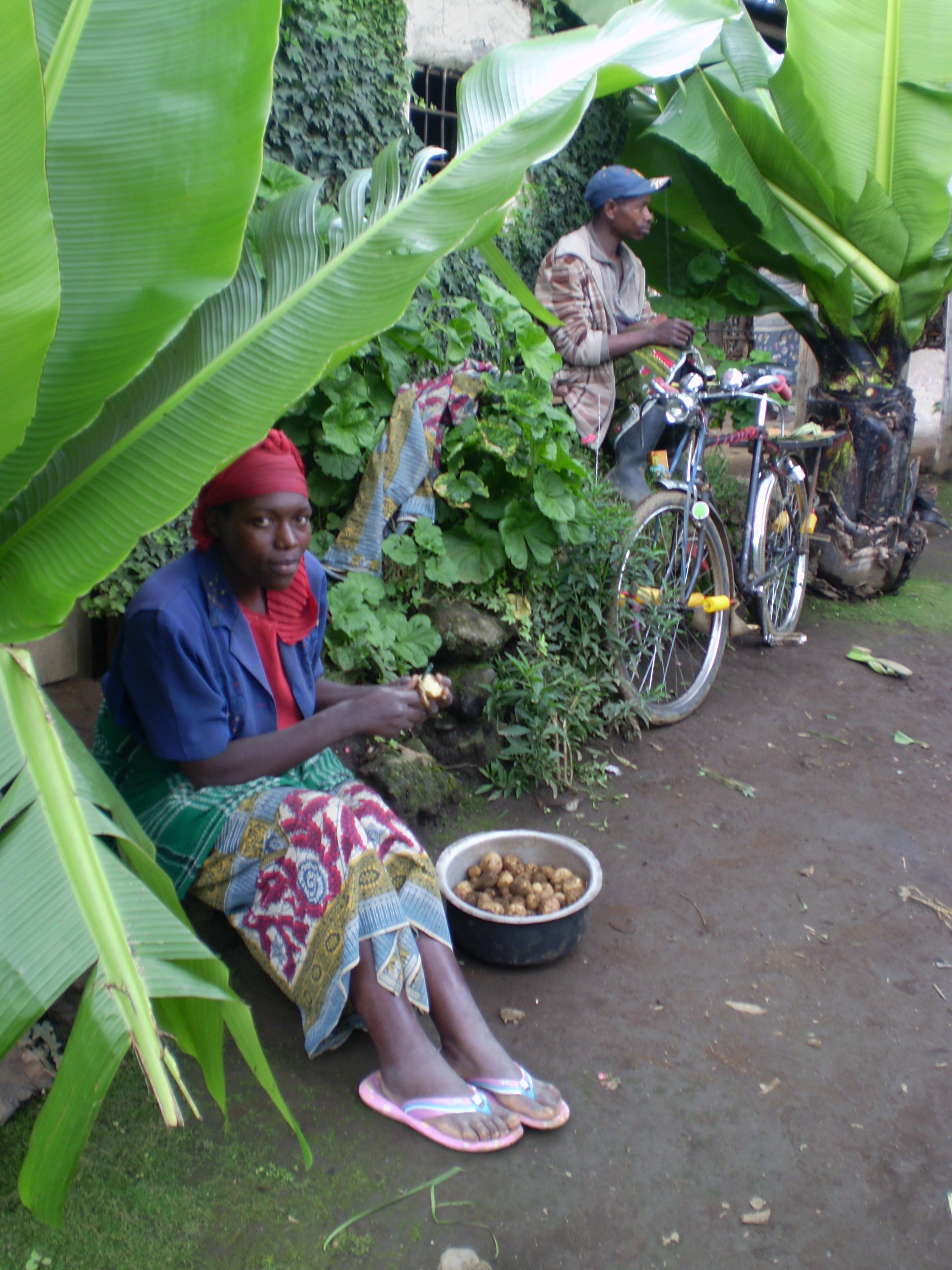Devota_2007_7.jpg