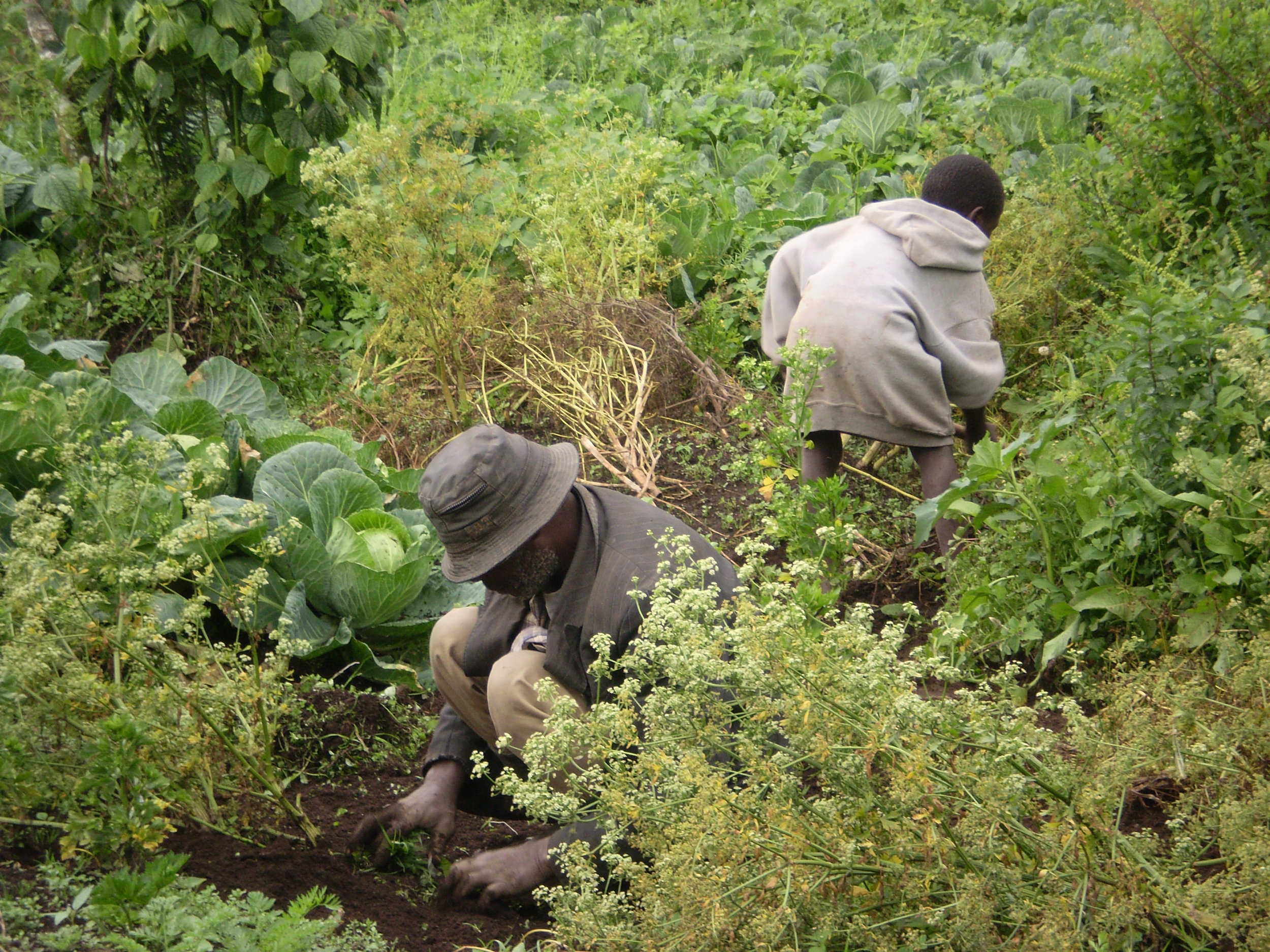 Devota_2007_22.jpg