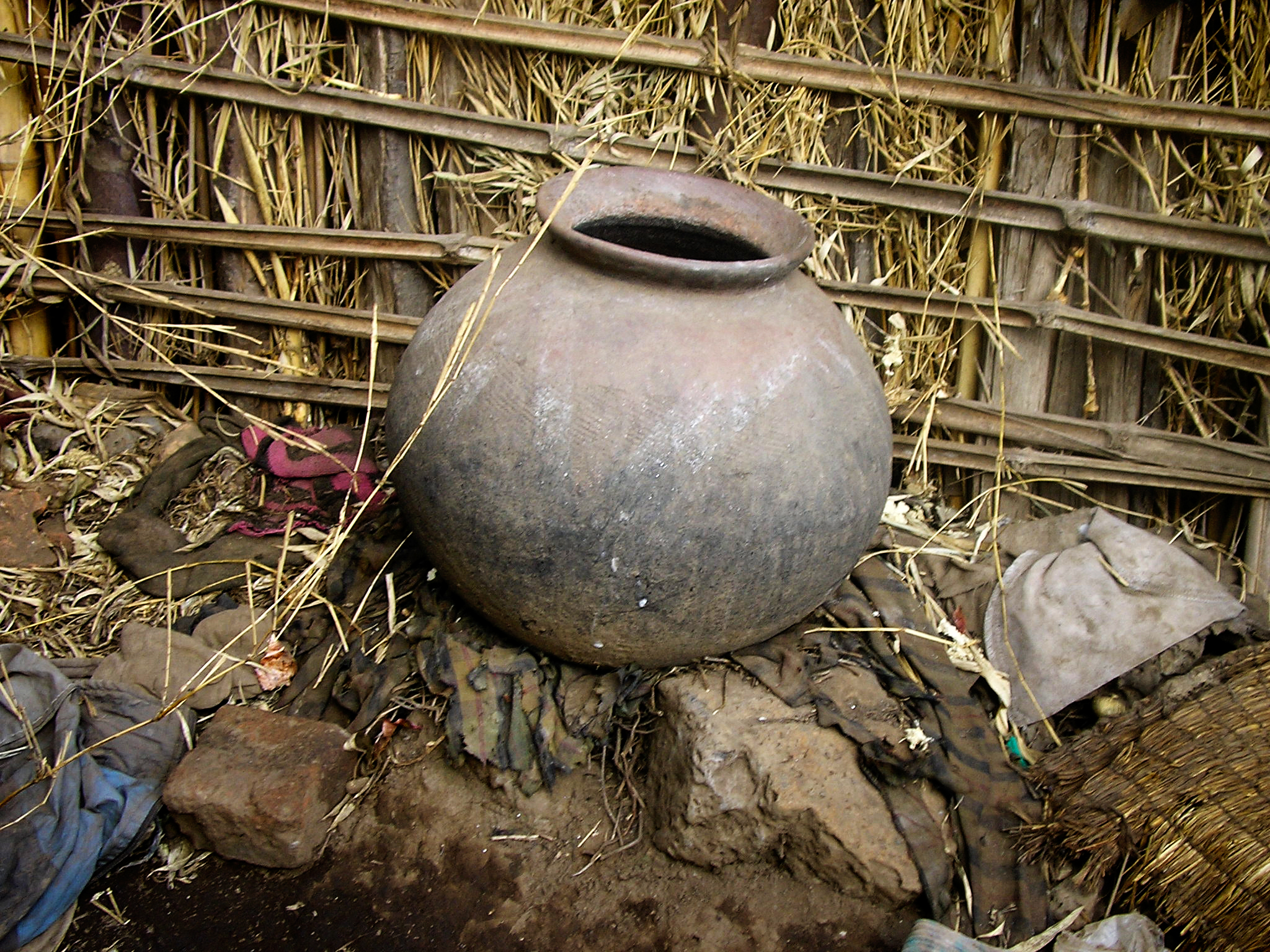 DOMINIQUEP1010371_1.jpg