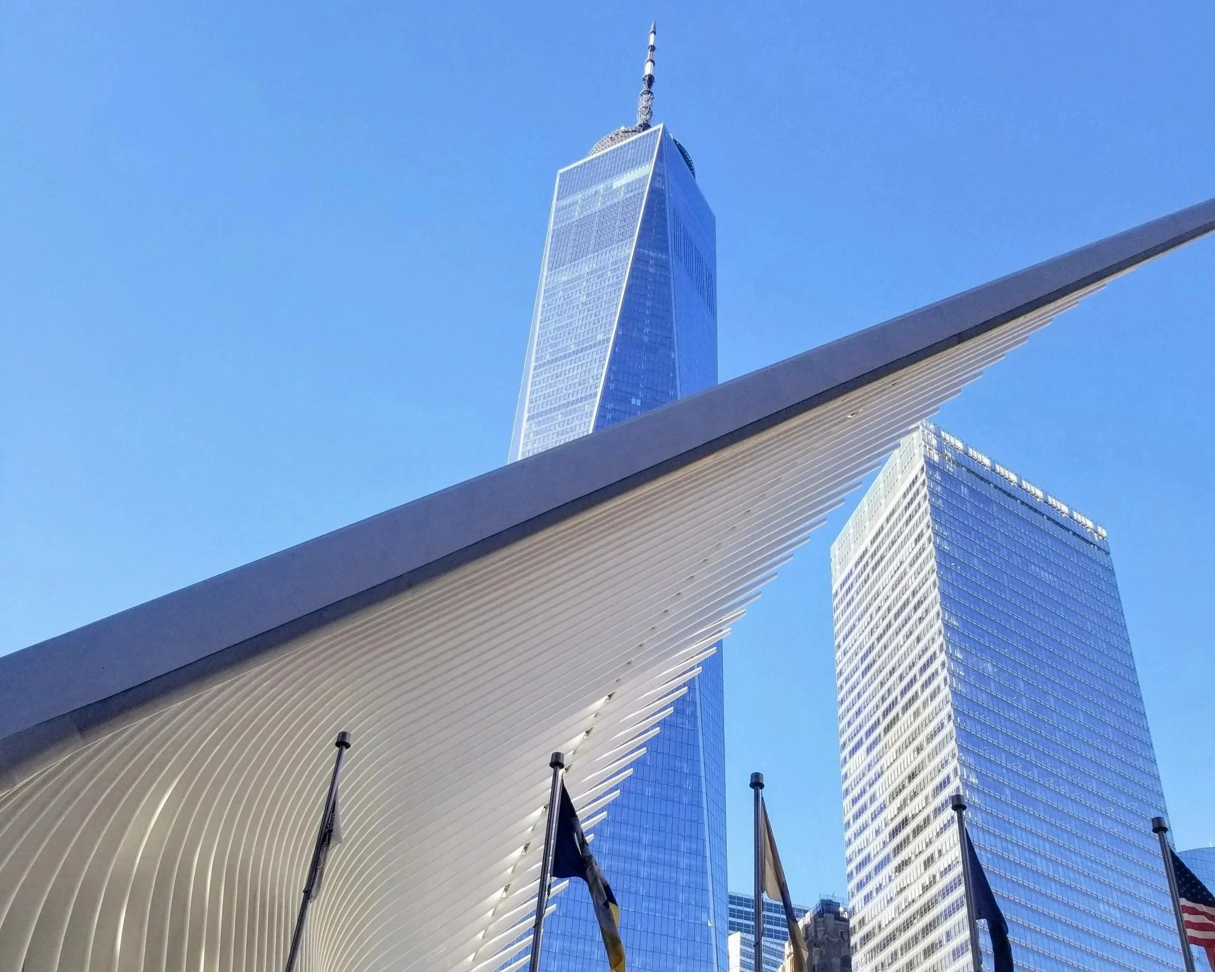 cfc20496-a459-4227-868a-de954052dff1~1 (1).jpg