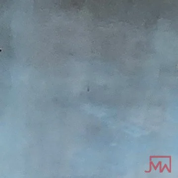 20241111-20241111_111753.jpg