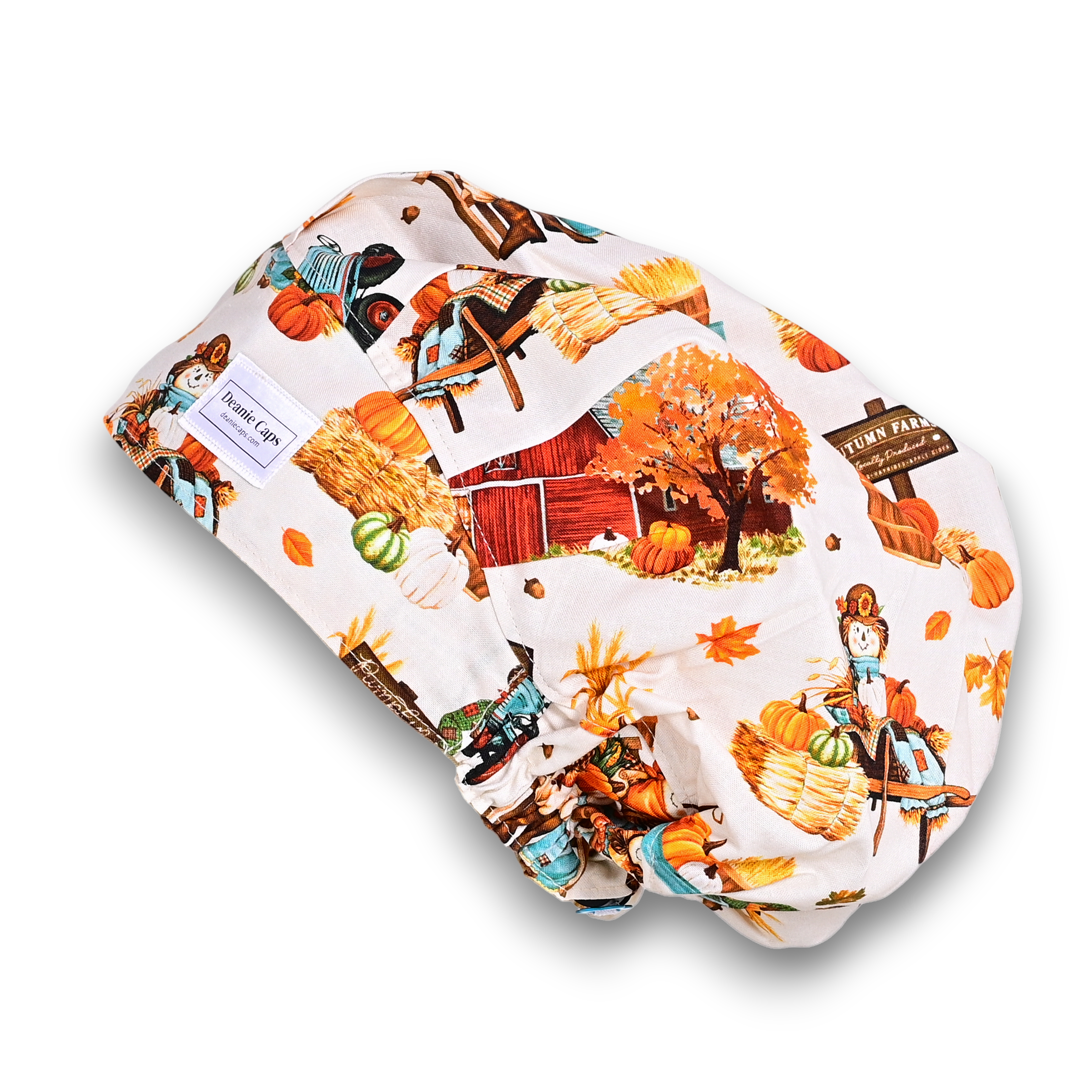 Hello Scarecrow / Bonnet