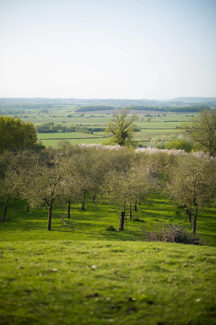 The Somerset Distillery 1.jpg