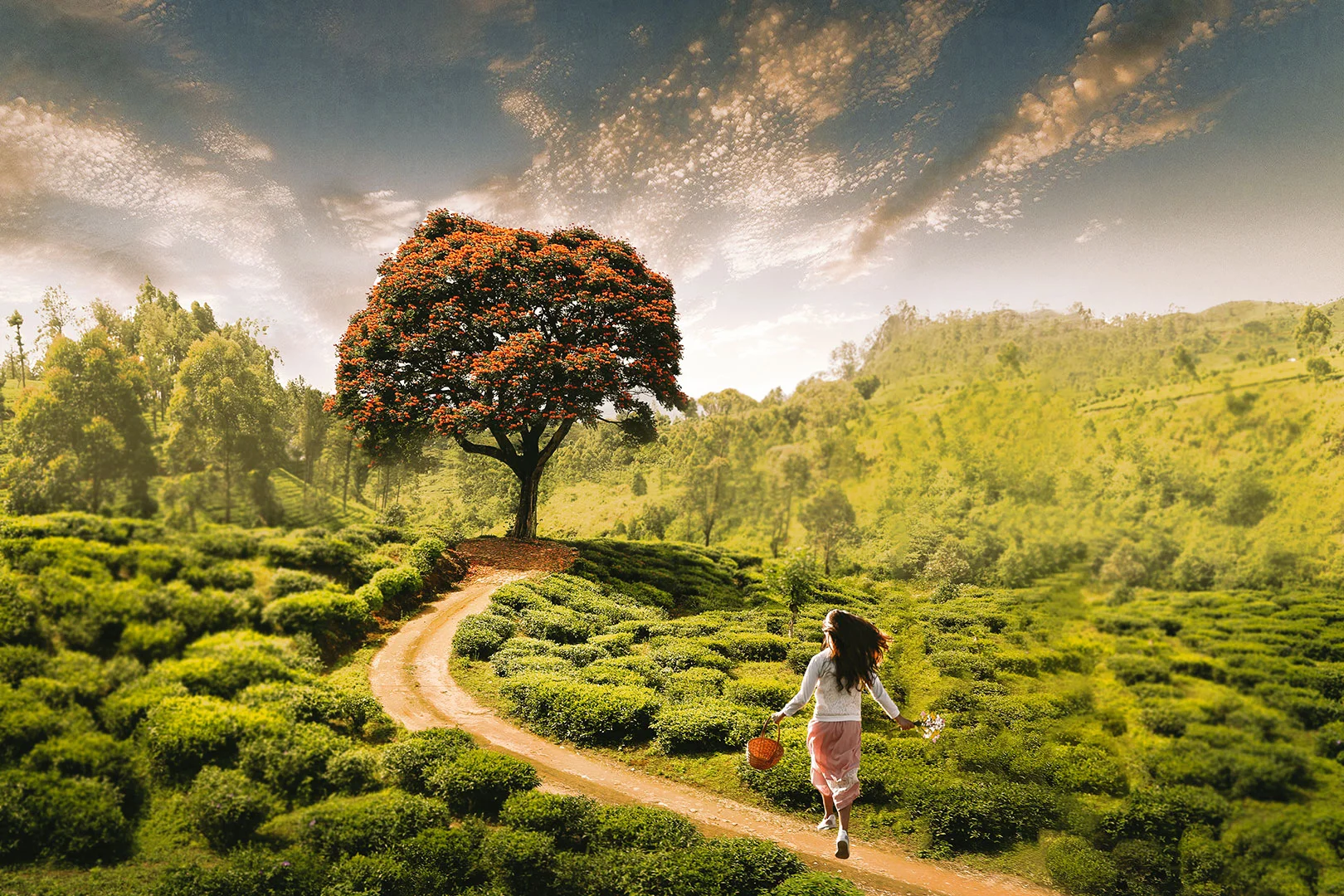 create-art-photography.jpg