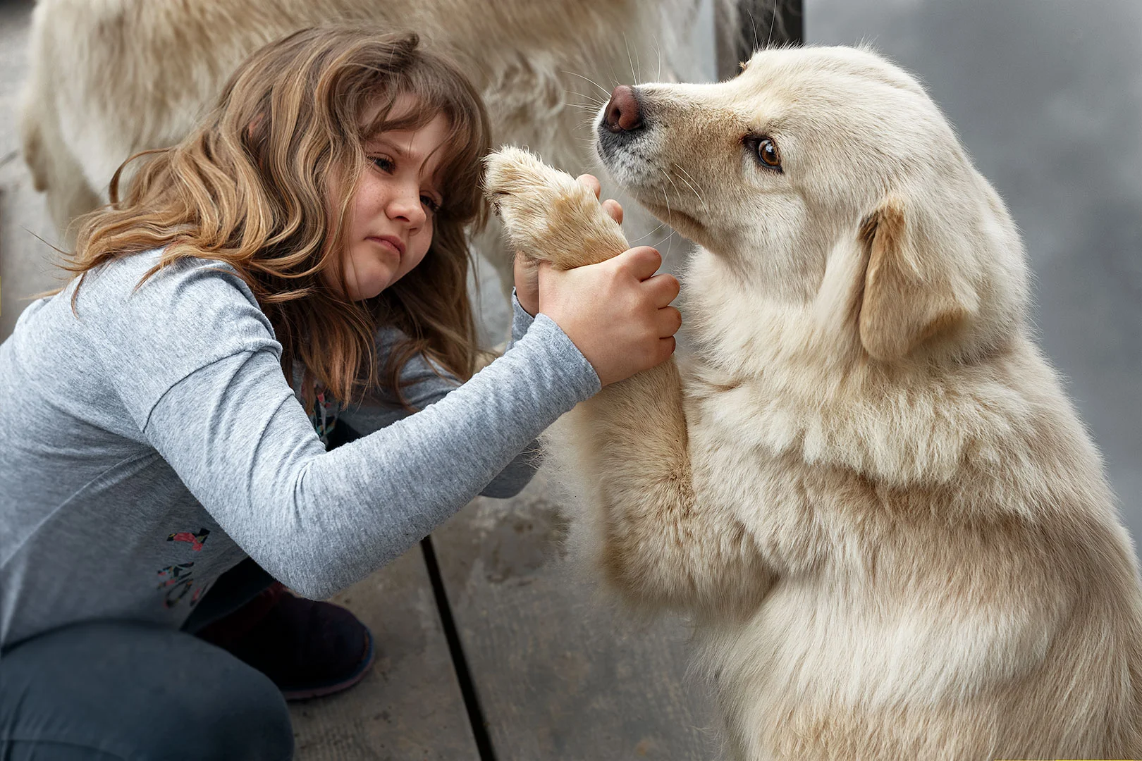 girl-with-white-dog.jpg