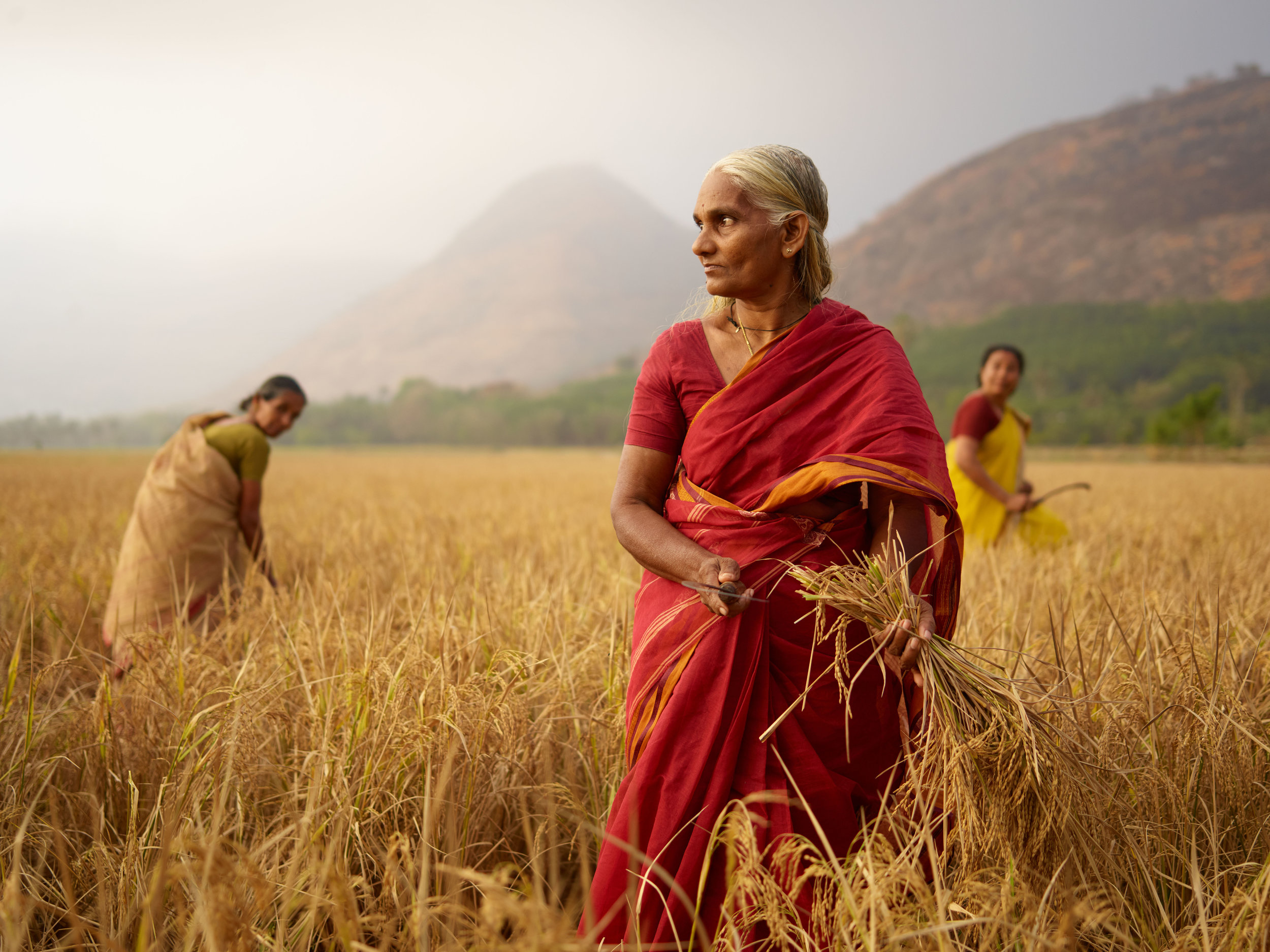 DUP_72058_008A_3WomenWheatField_rgb.jpg