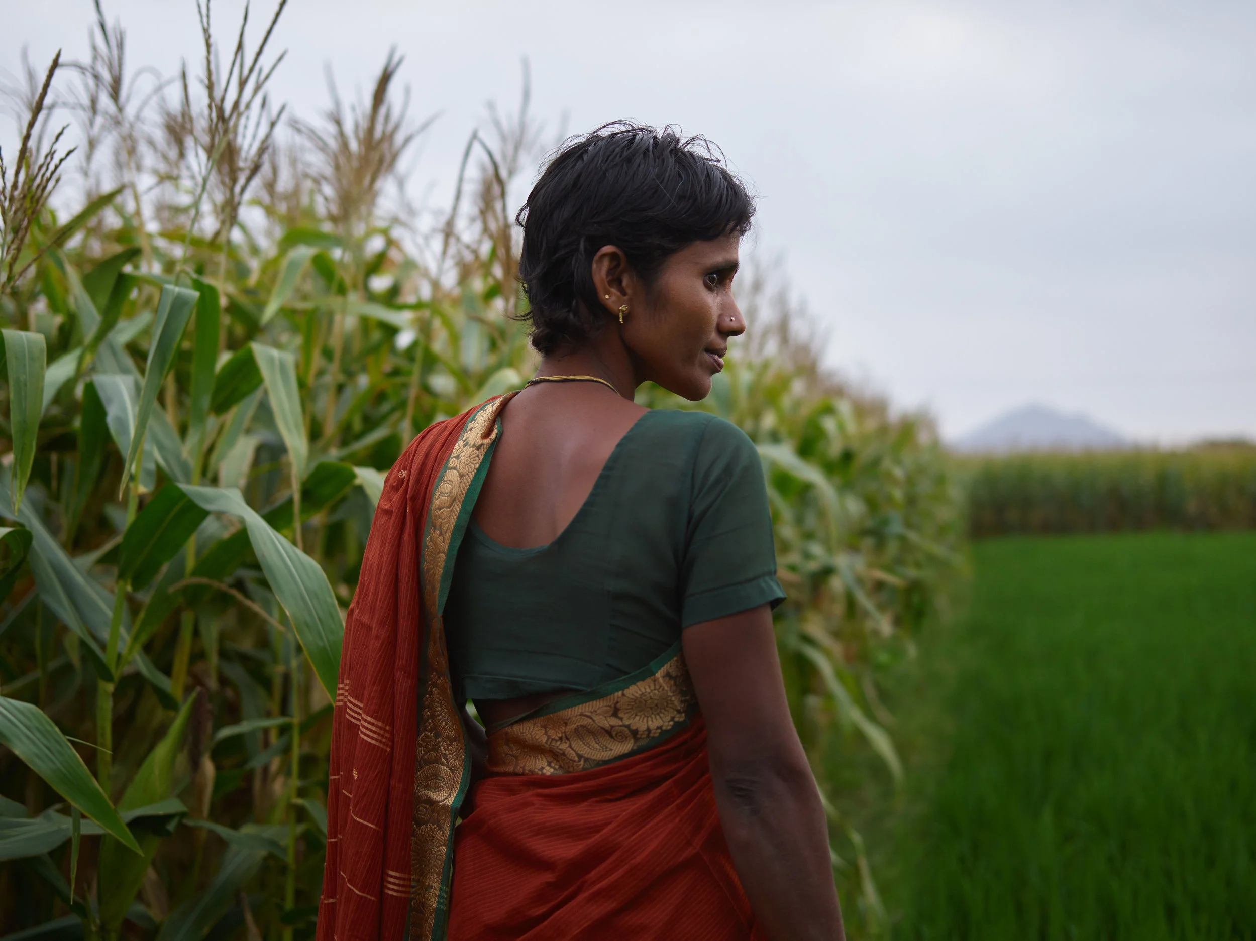 DUP_72058_014B_WomanEdgeOfCornfield_rgb.jpg